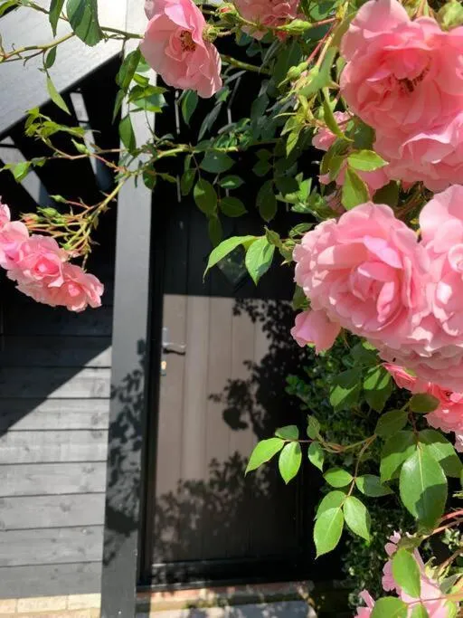 Garden in Attractive 2 storey, 2 bedroom barn in Long Melford