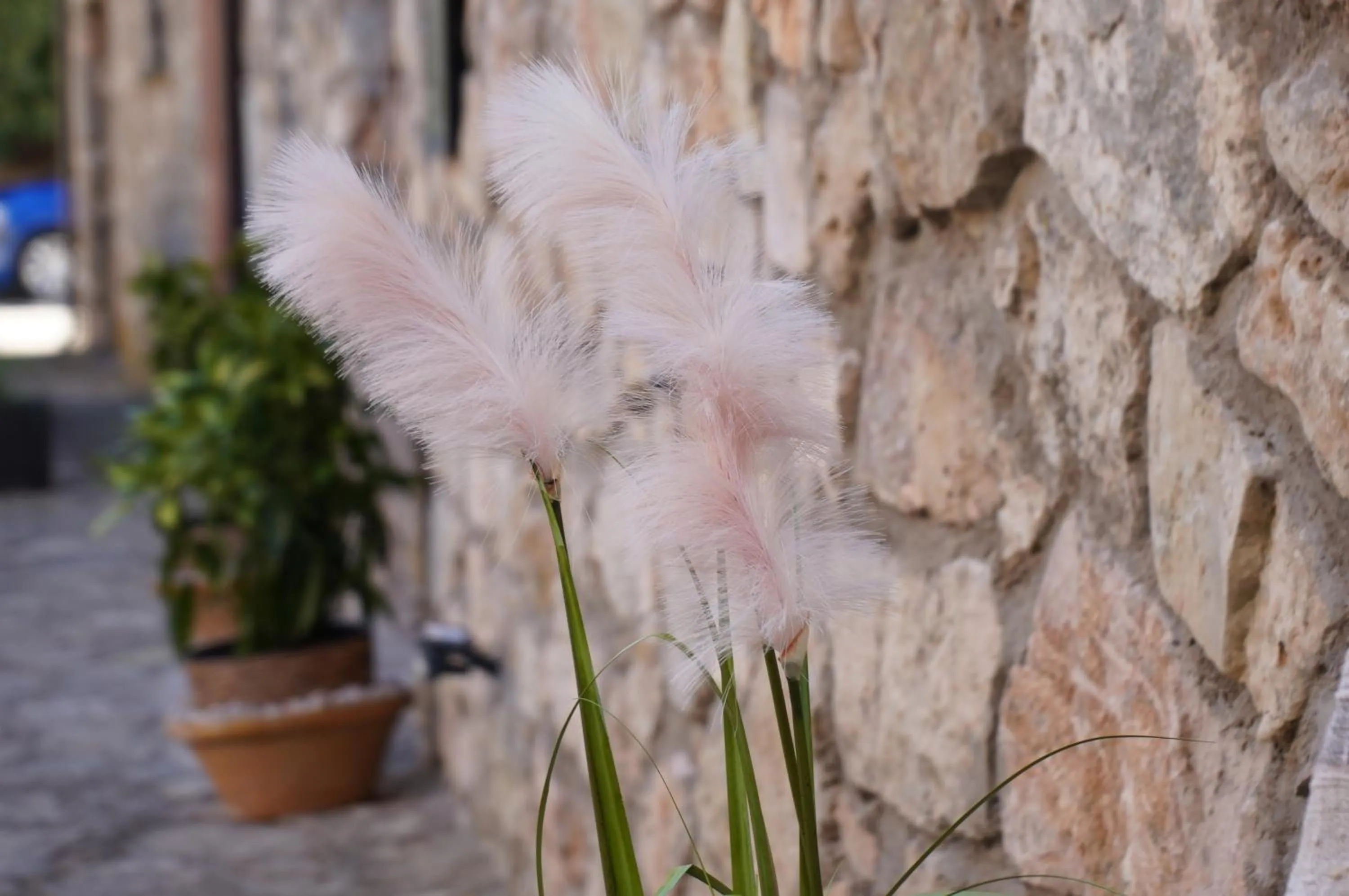 Facade/entrance in HOTEL POSADA LaS RETAJAS
