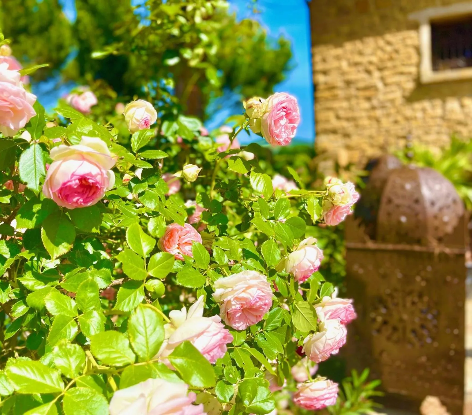 Garden in Le Clos Des Anges