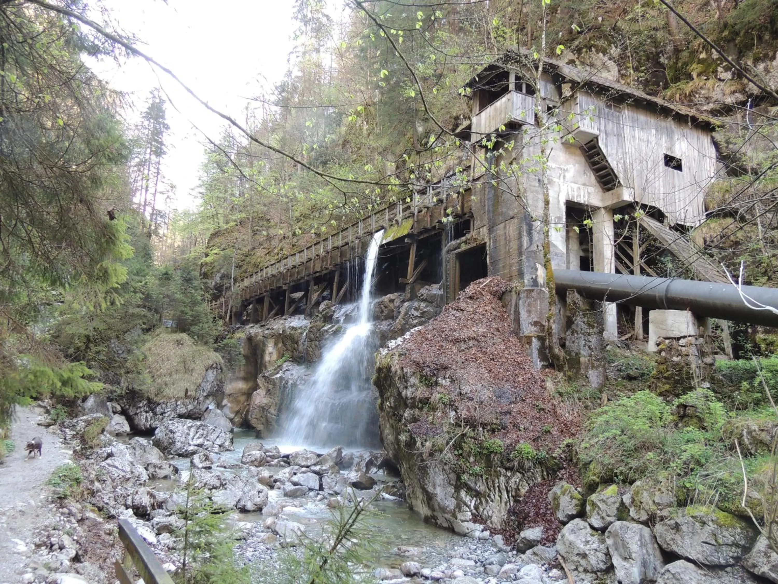 Nearby landmark in Landgasthof Seisenbergklamm