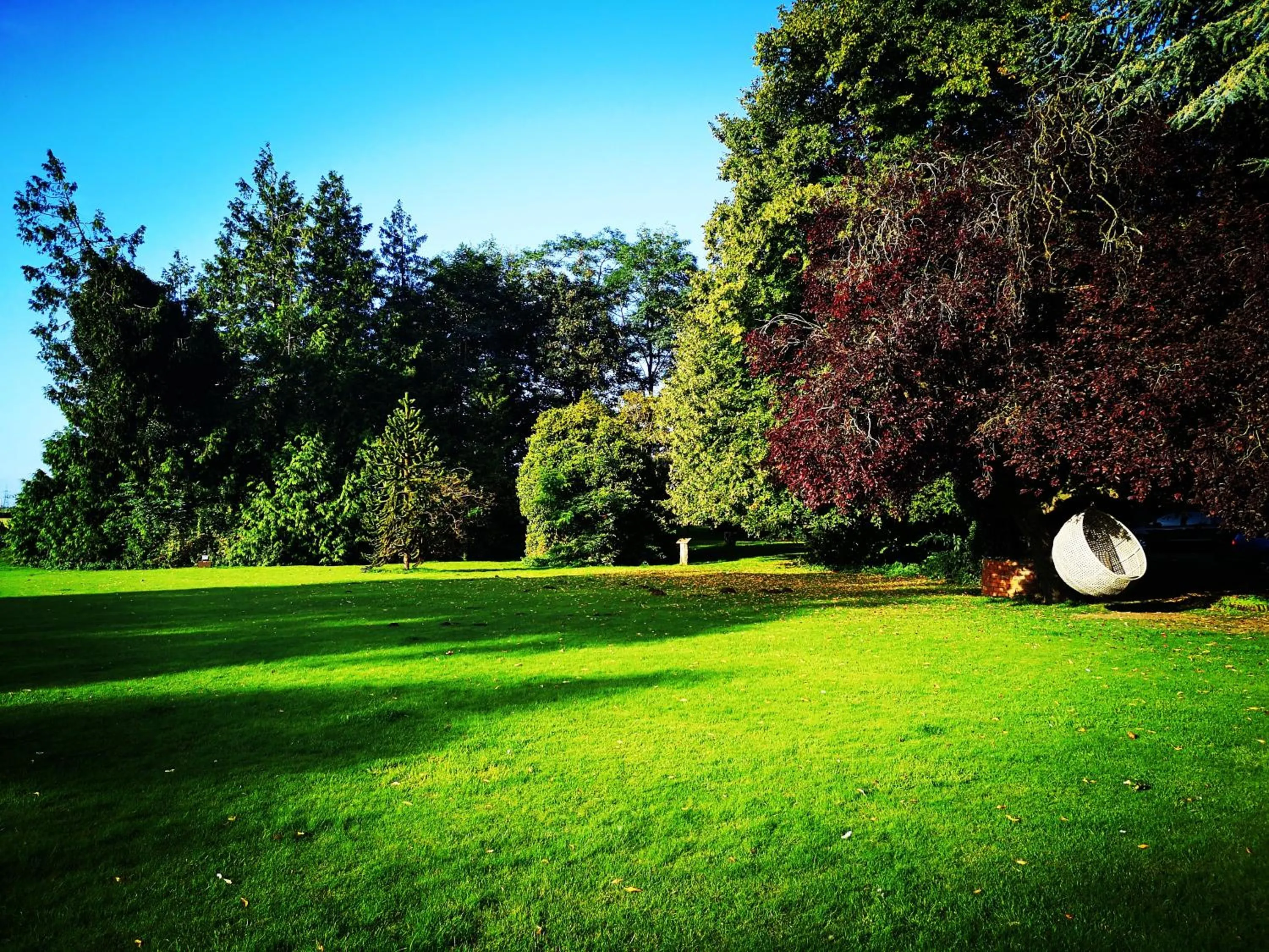 Garden view in Hatherley Manor Hotel & Spa