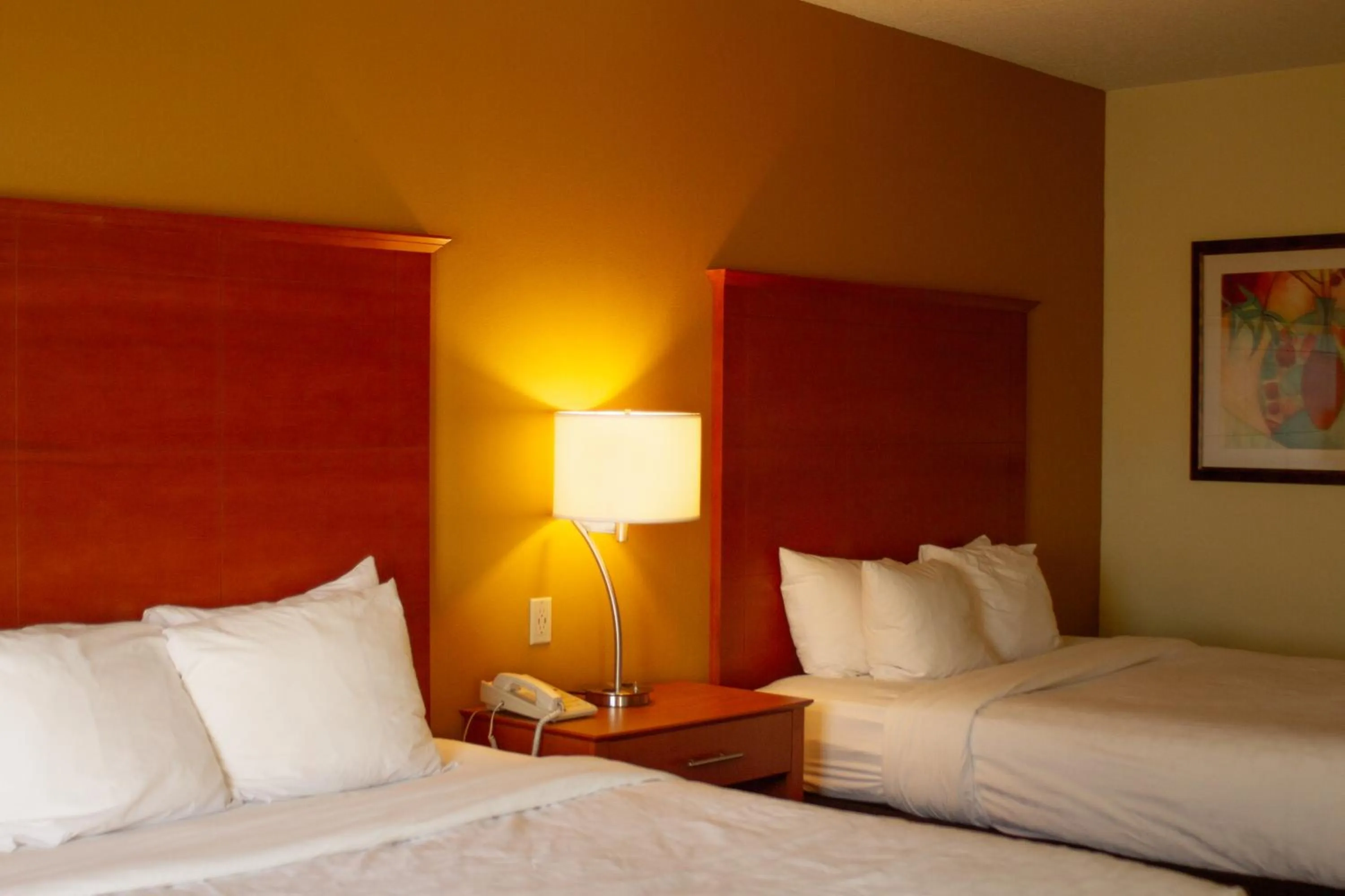 Bed in University Hotel & Suites Shippensburg, Trademark by Wyndham