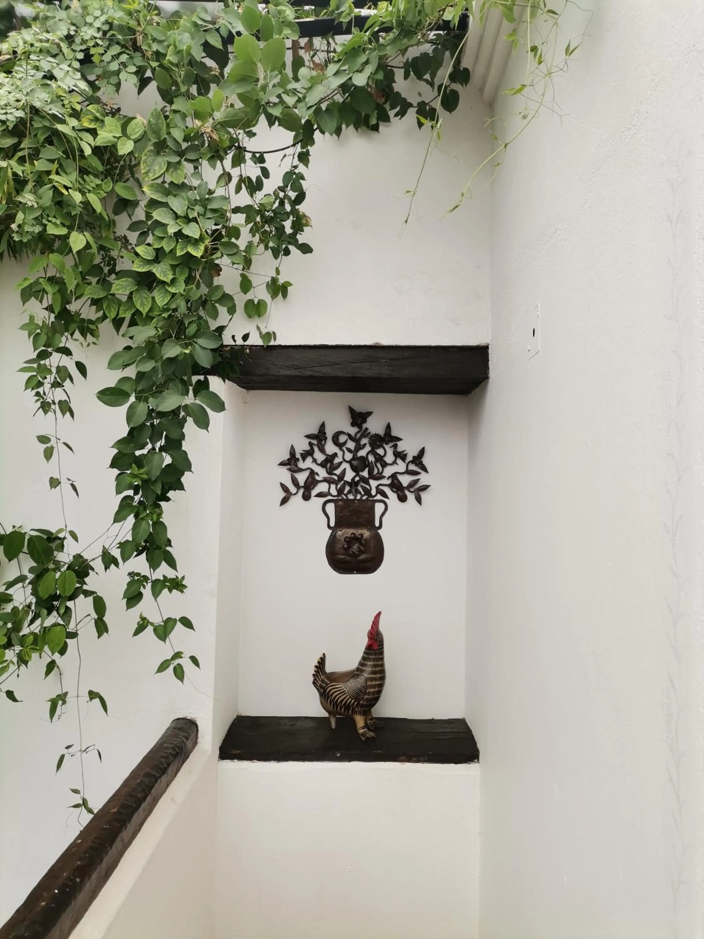 Day in Posada Real de Chiapas