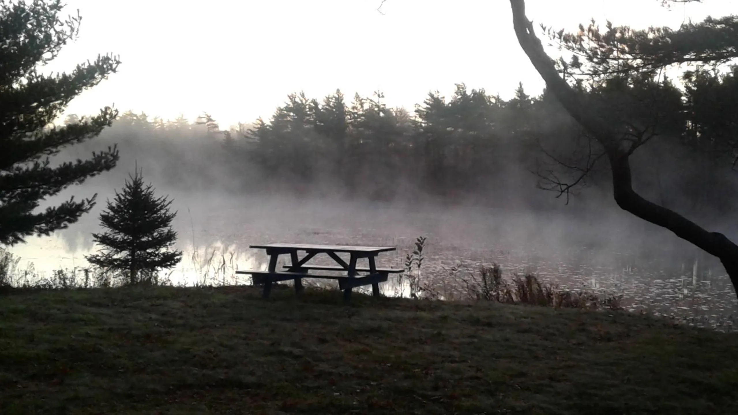 Natural landscape in B&B Art of Germany