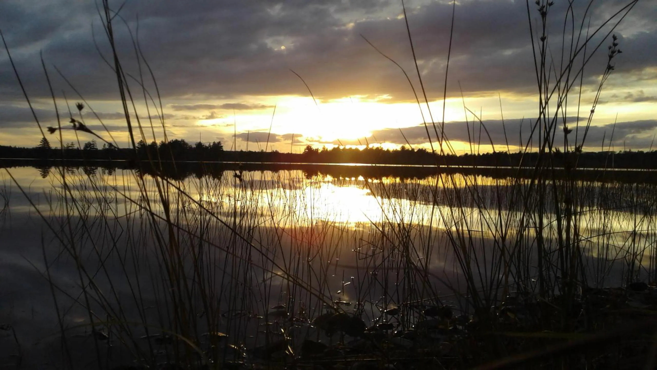 Nearby landmark in B&B Art of Germany