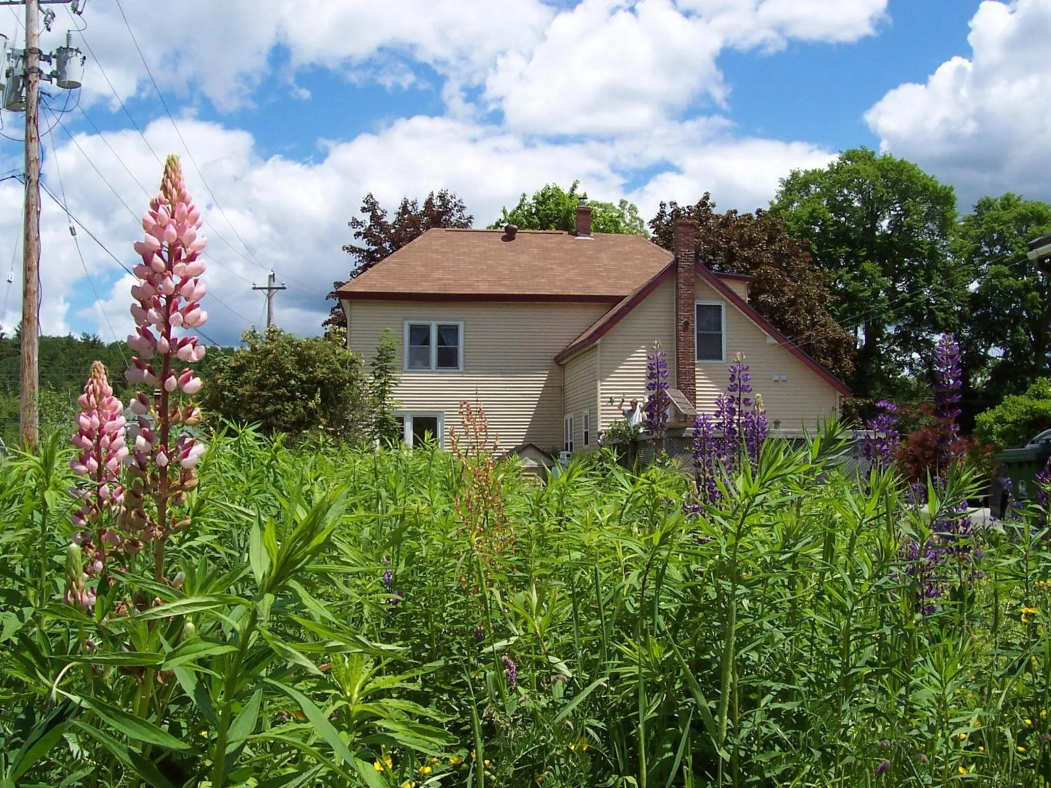 Property building in B&B Art of Germany