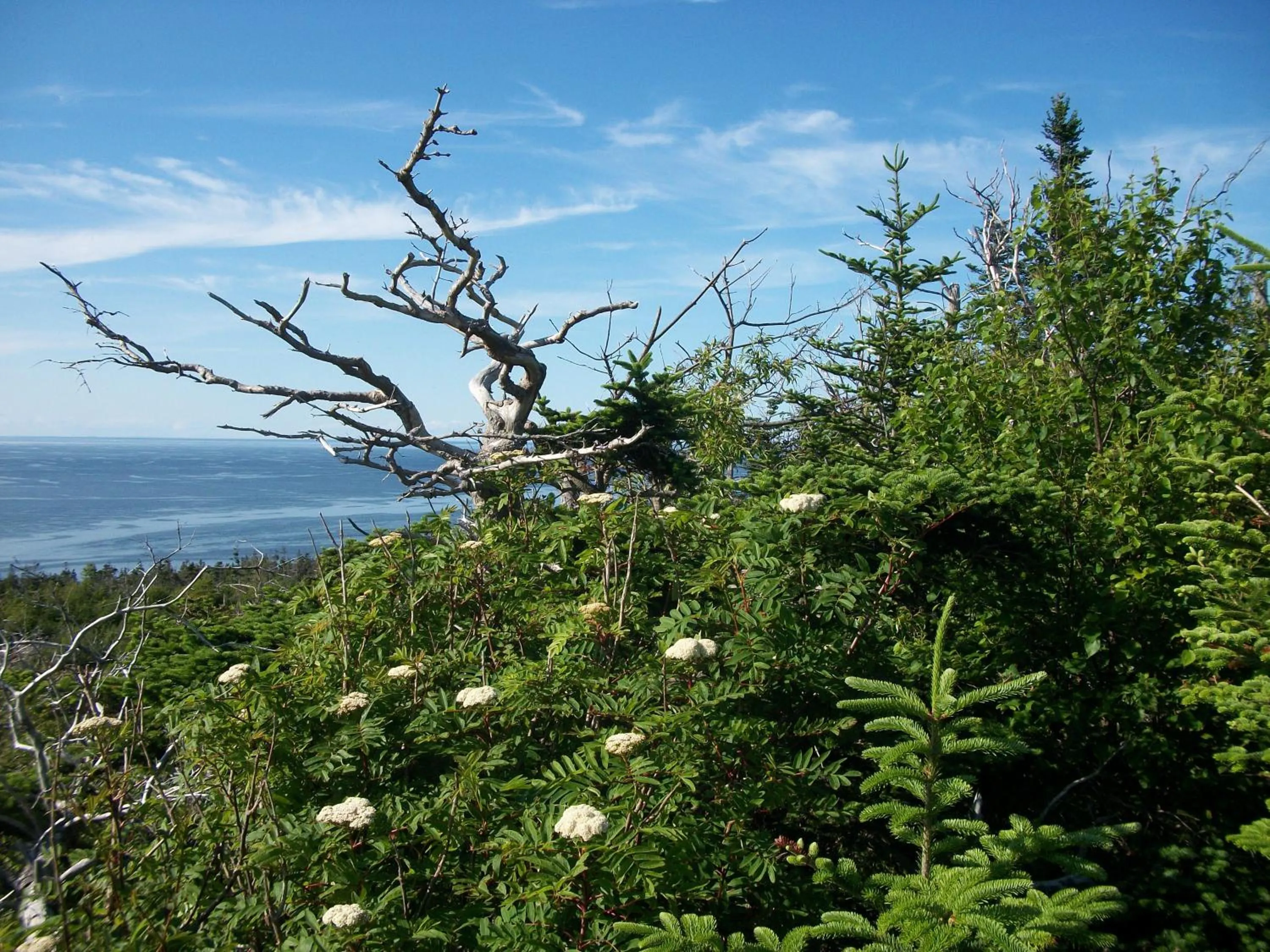 Summer in B&B Art of Germany