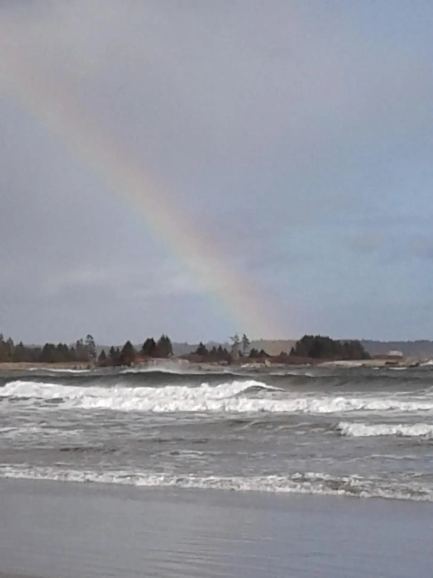 Activities in B&B Art of Germany