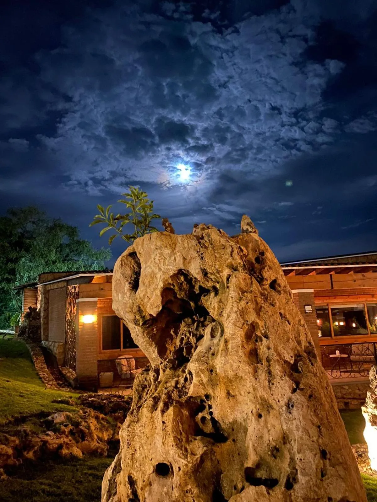 Garden view in Hotel Boutique Matea