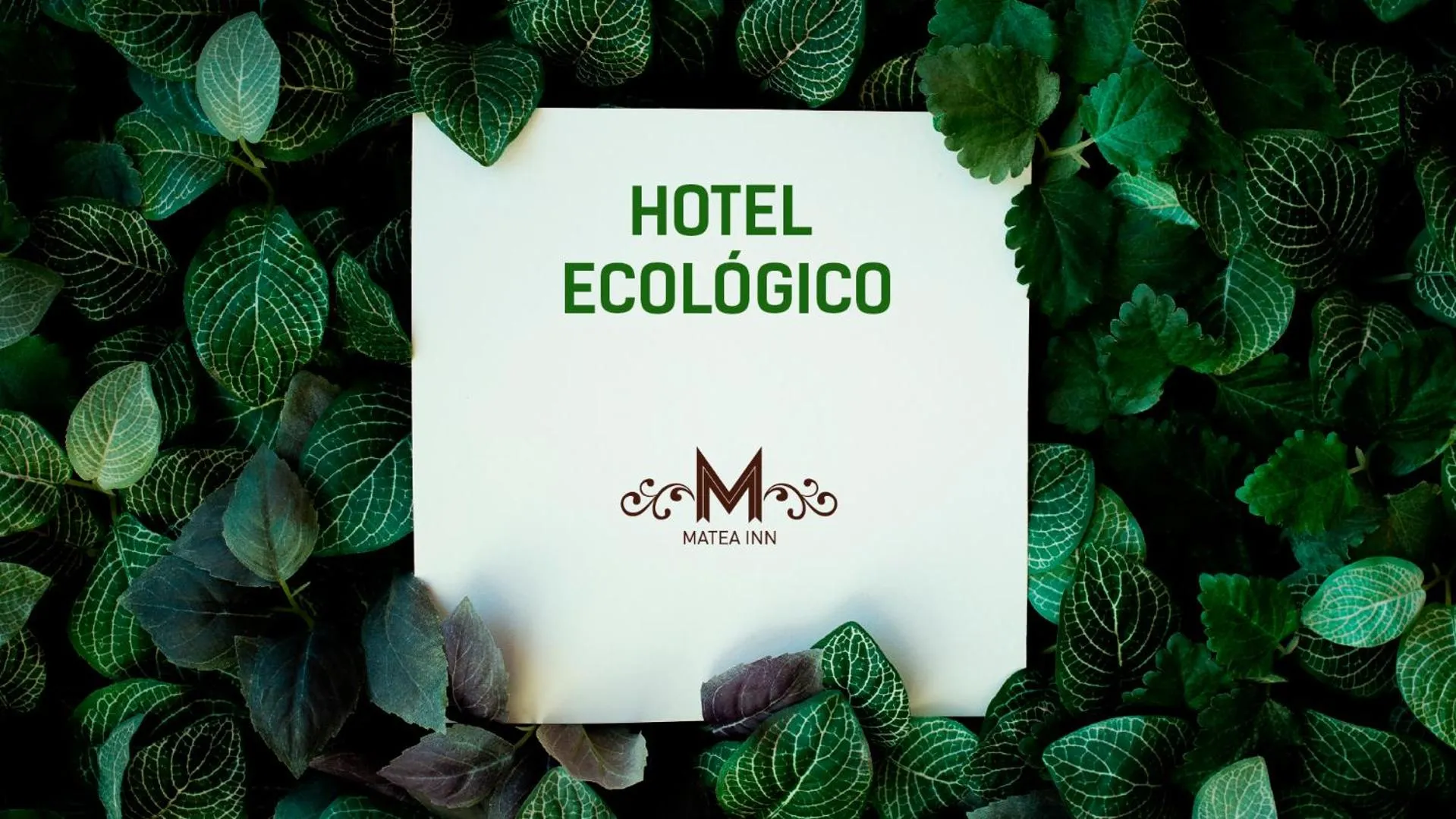 Property logo or sign in Hotel Boutique Matea
