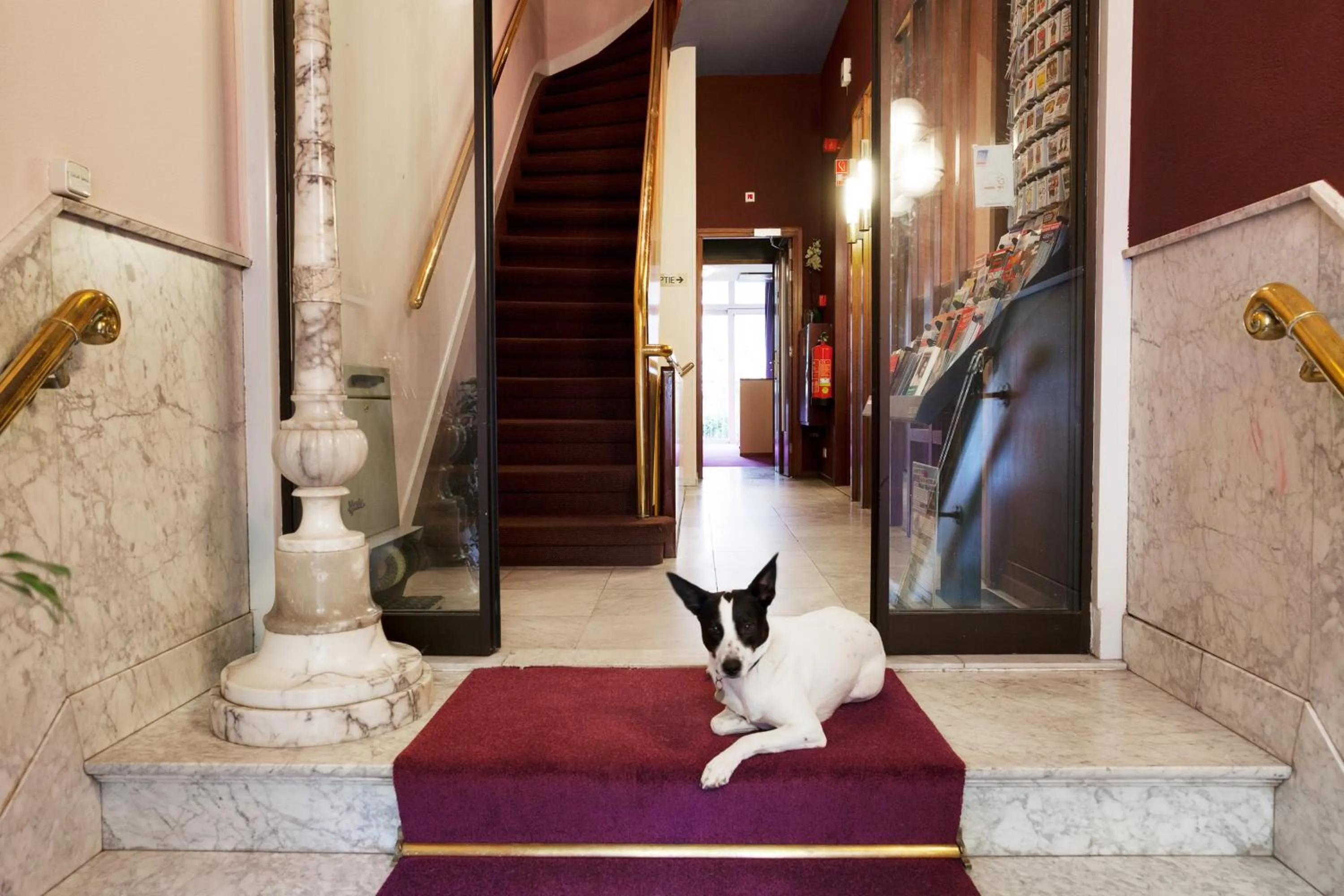 Lobby or reception in Hotel The Neighbour's Magnolia