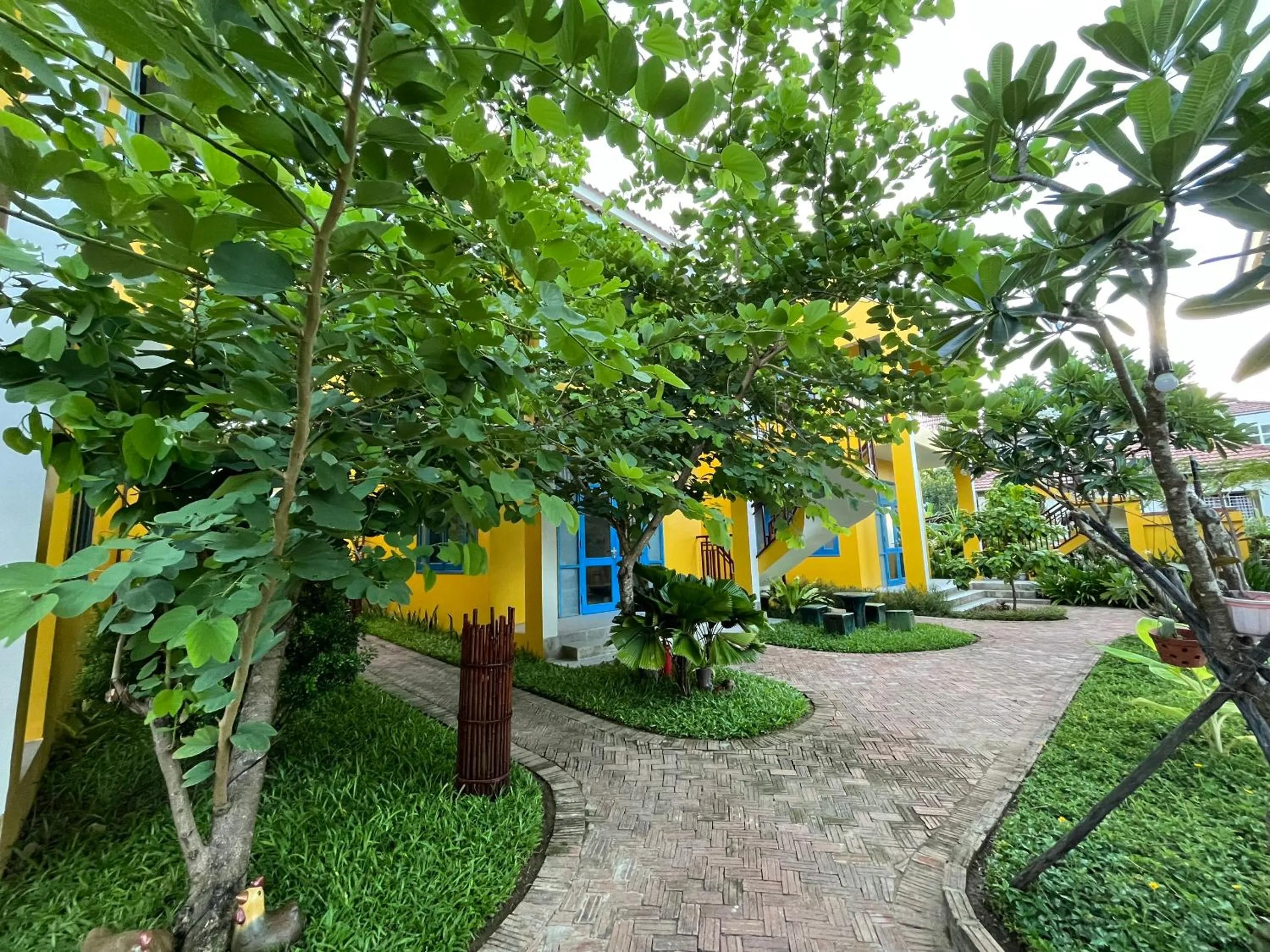 Natural landscape in Chez Mimosa Rice Field Retreat