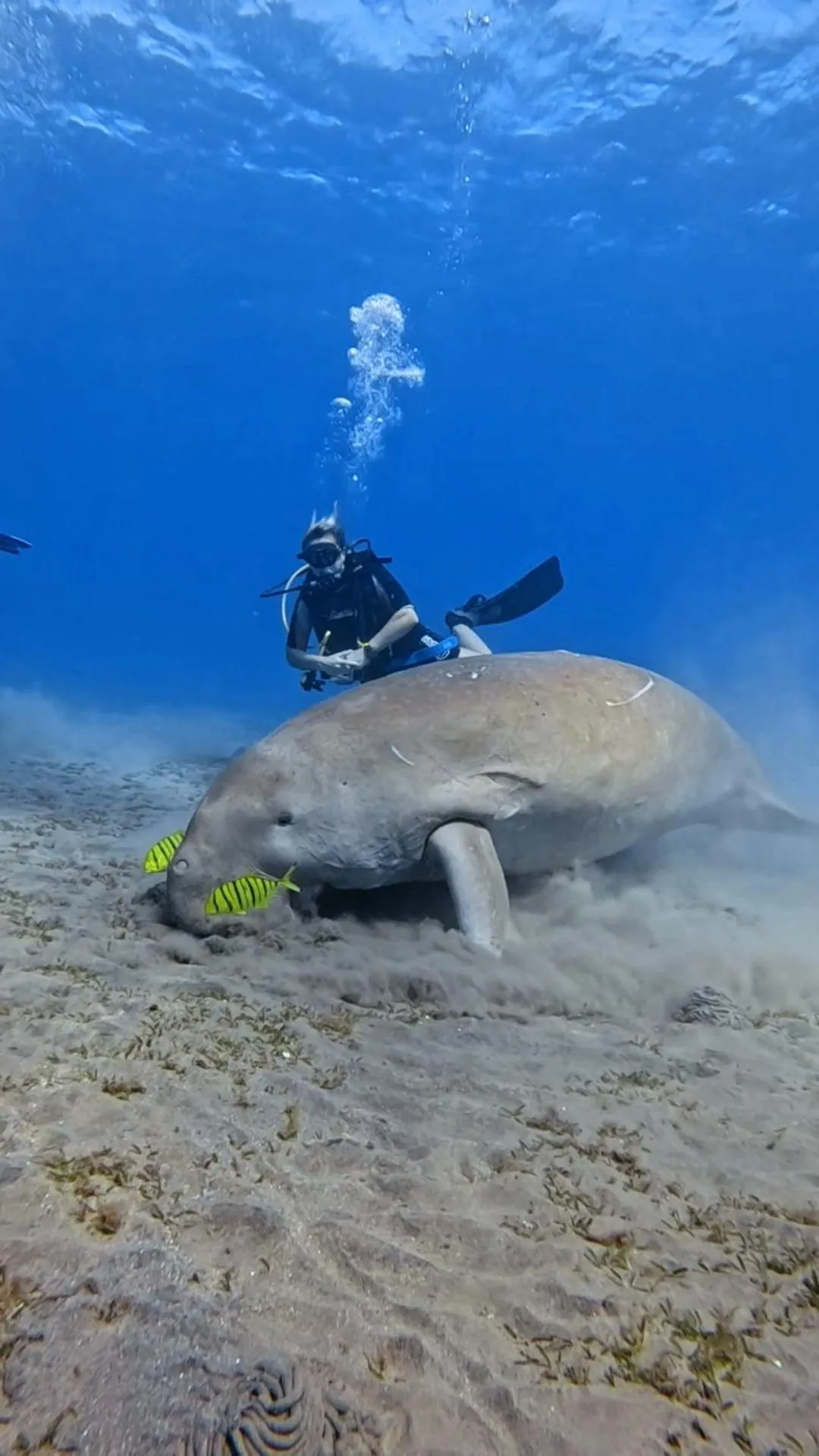 Sports in Star House Hotel