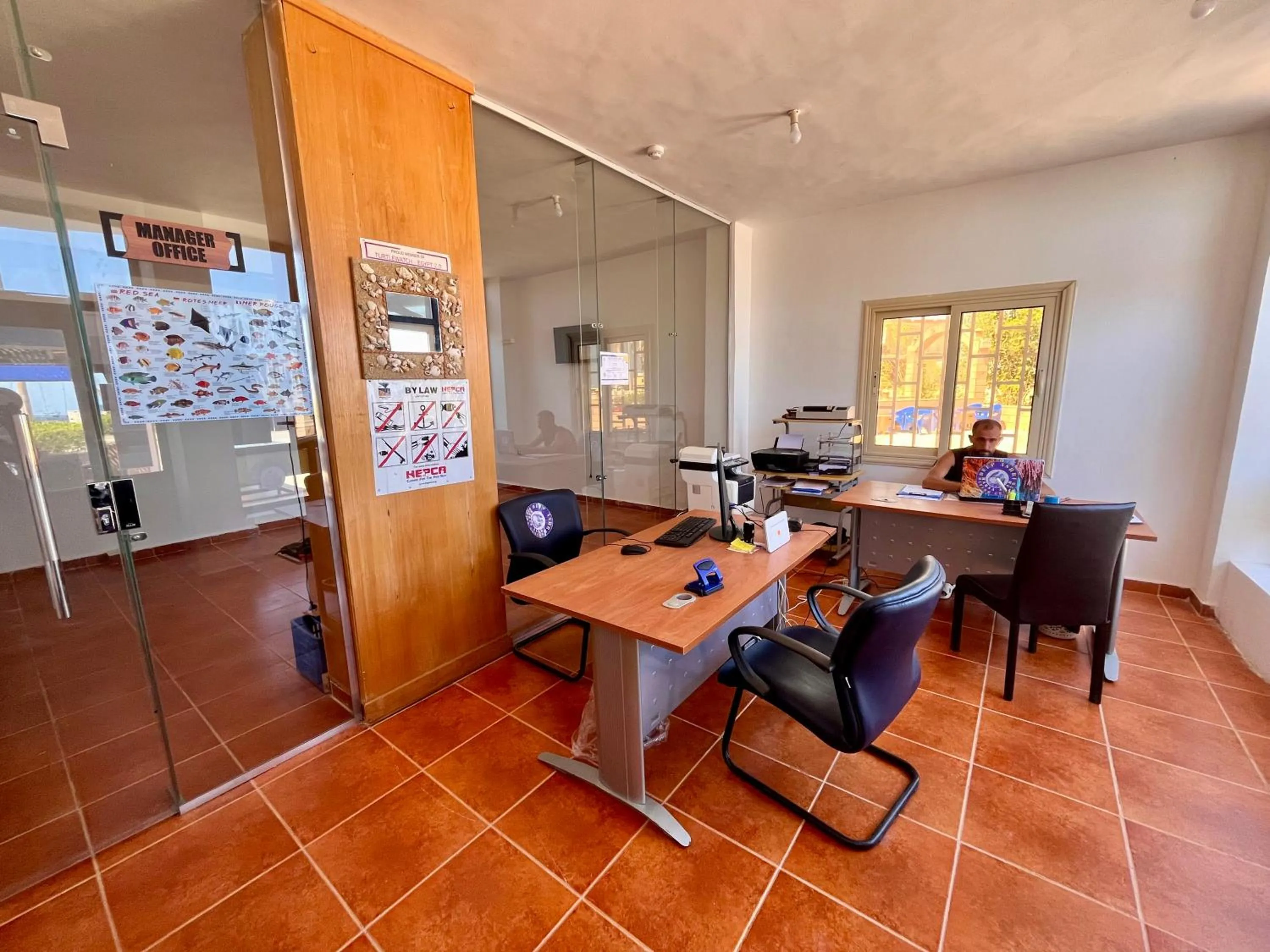 Diving in Star House Hotel