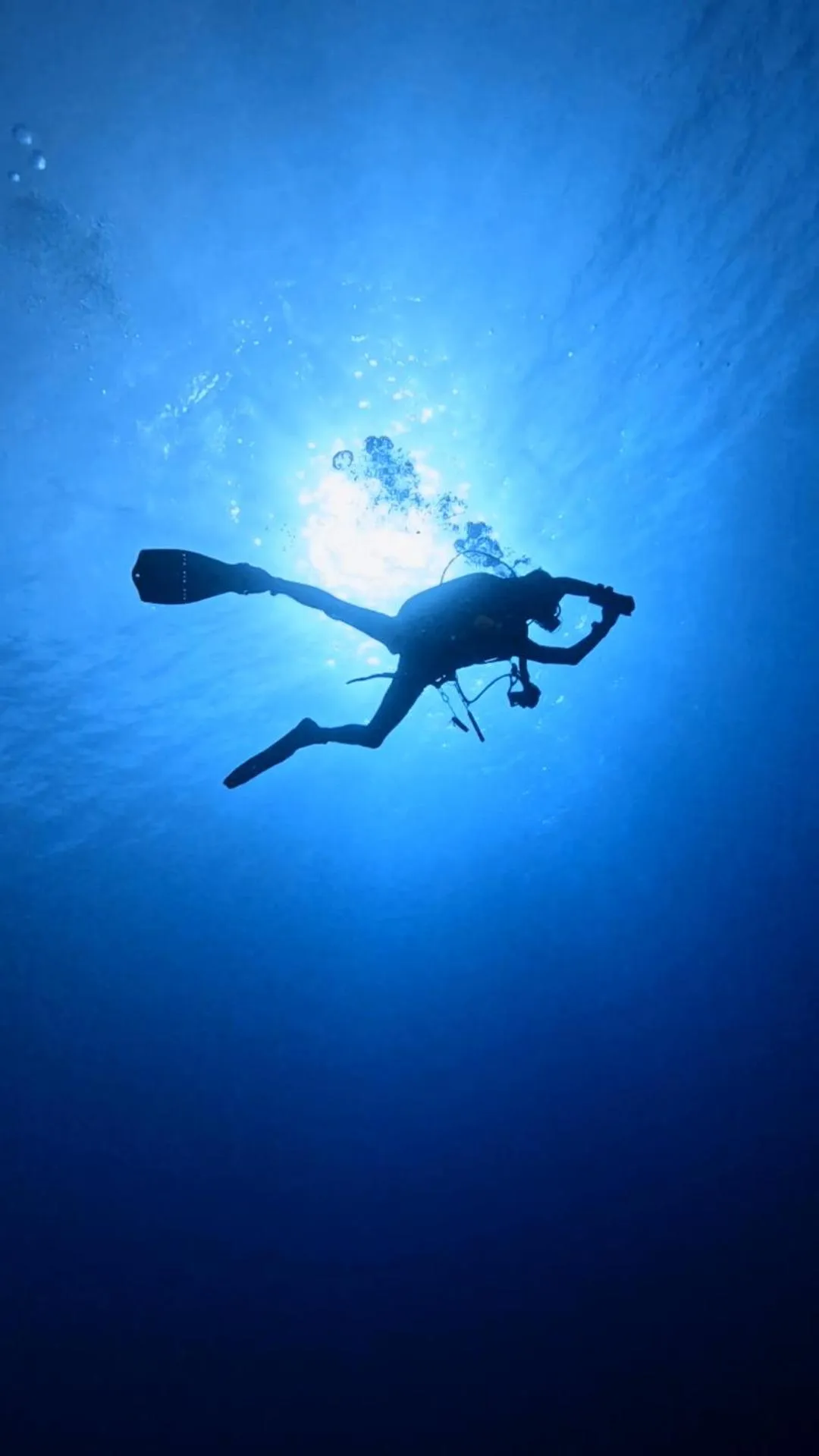 Diving in Star House Hotel