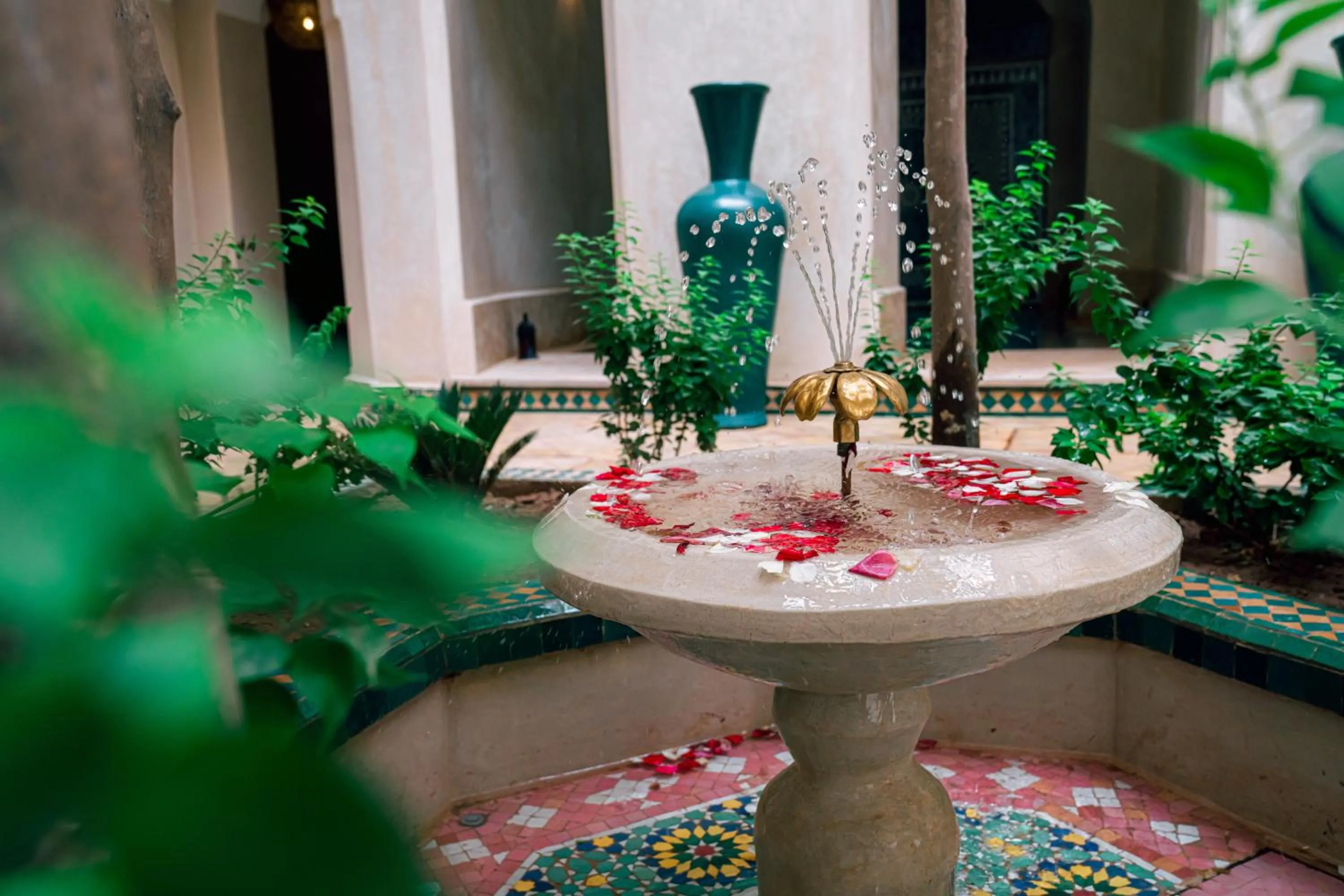 Garden in Riad Dar Zaouia