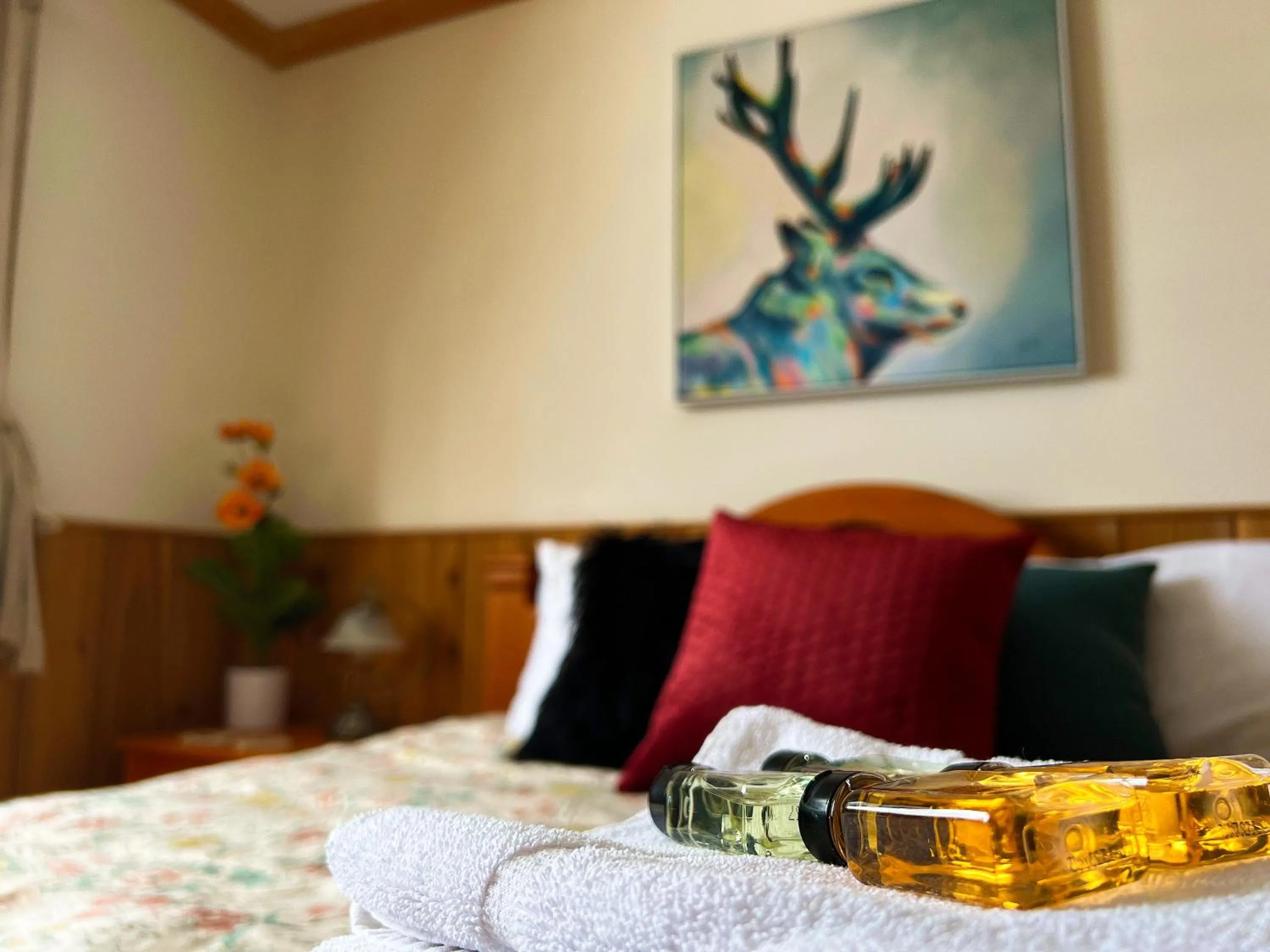 Bed in Auberge au Poste de Traite