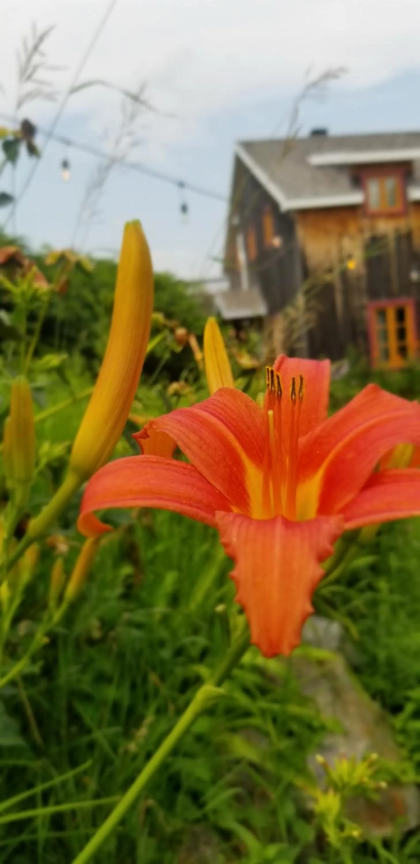 Auberge Le P'tit Bonheur