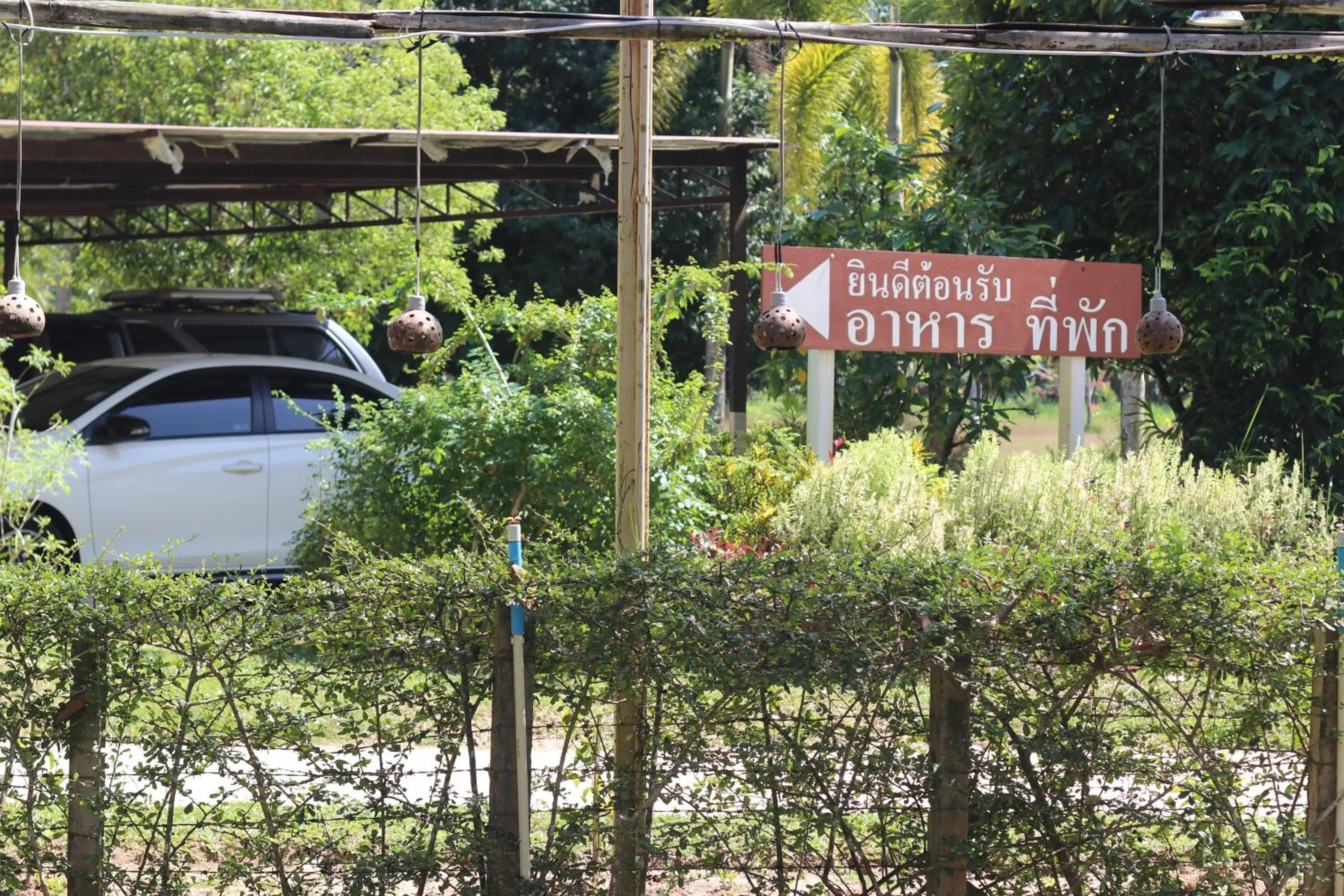 Garden in Sawasdee Lagoon Camping & Restaurant