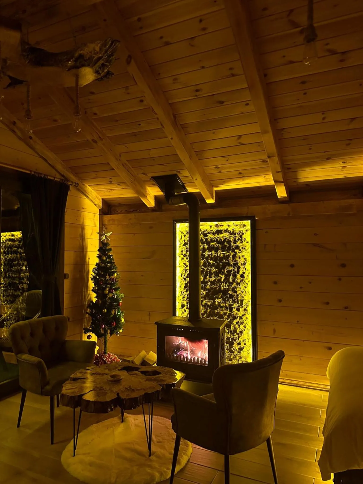 Living room in Maysa Suit Bungalov