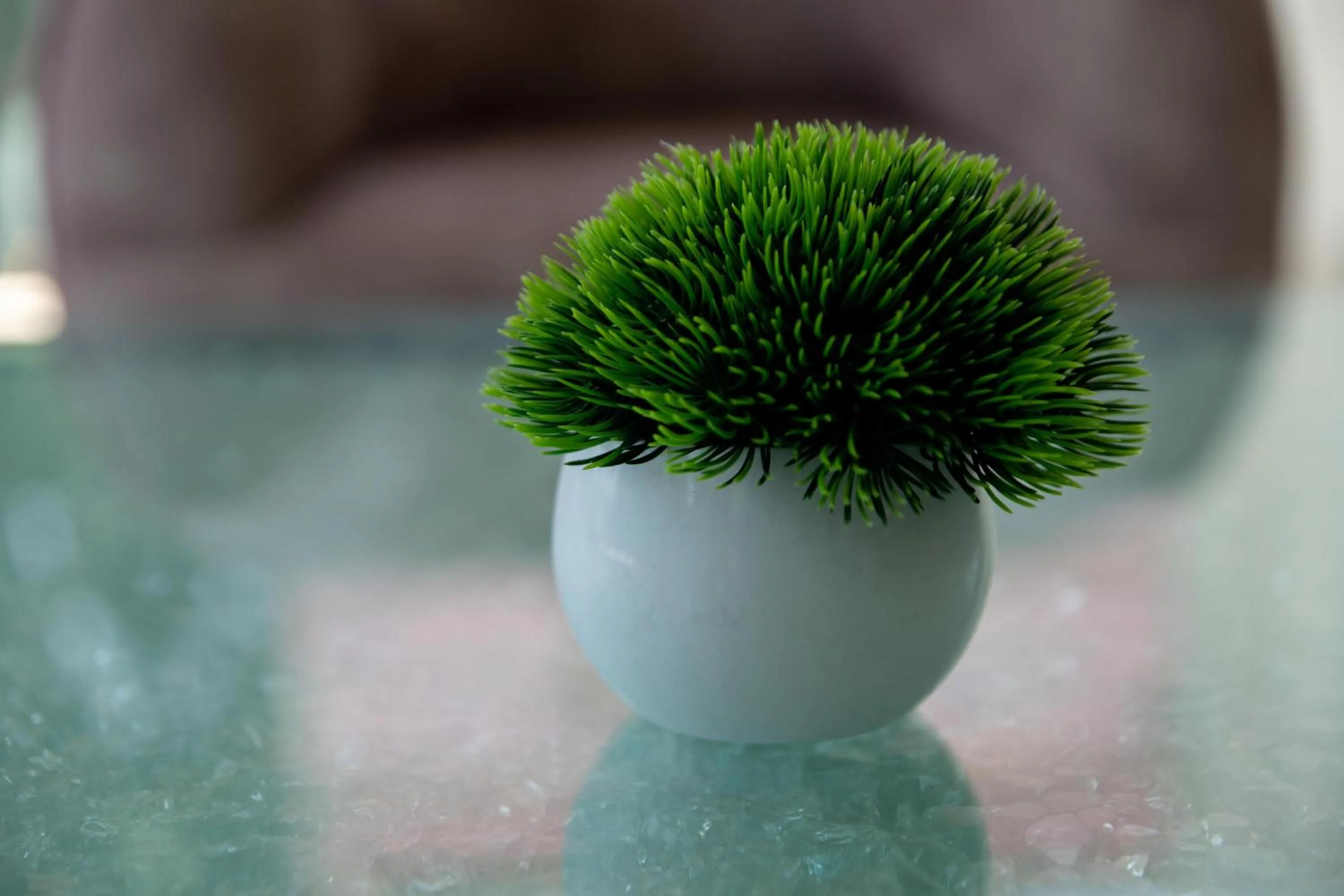 Living room in HVH by Yaxché