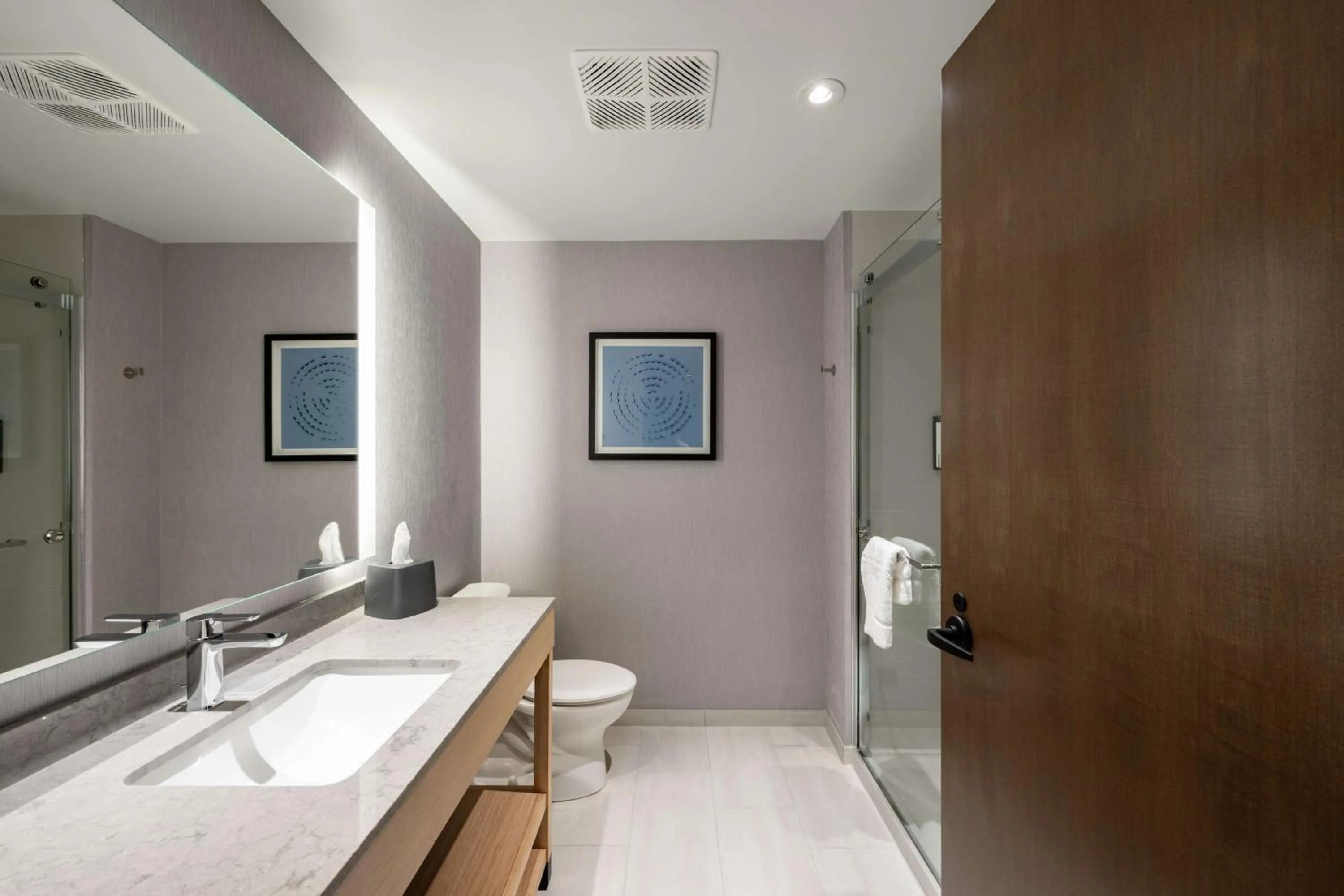 Bathroom in Hyatt Place Albany Downtown