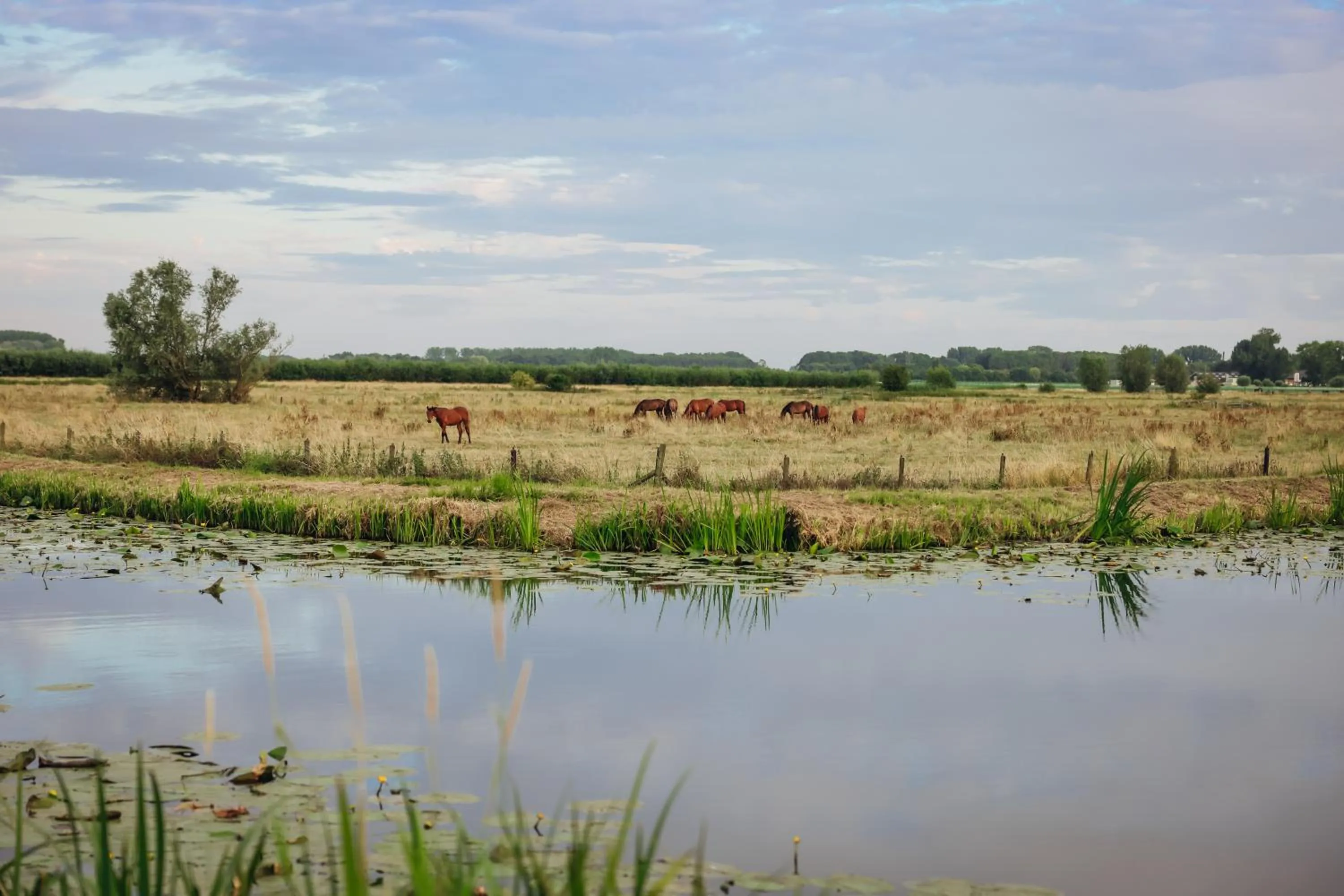 Area and facilities in Hajé Nieuwegein