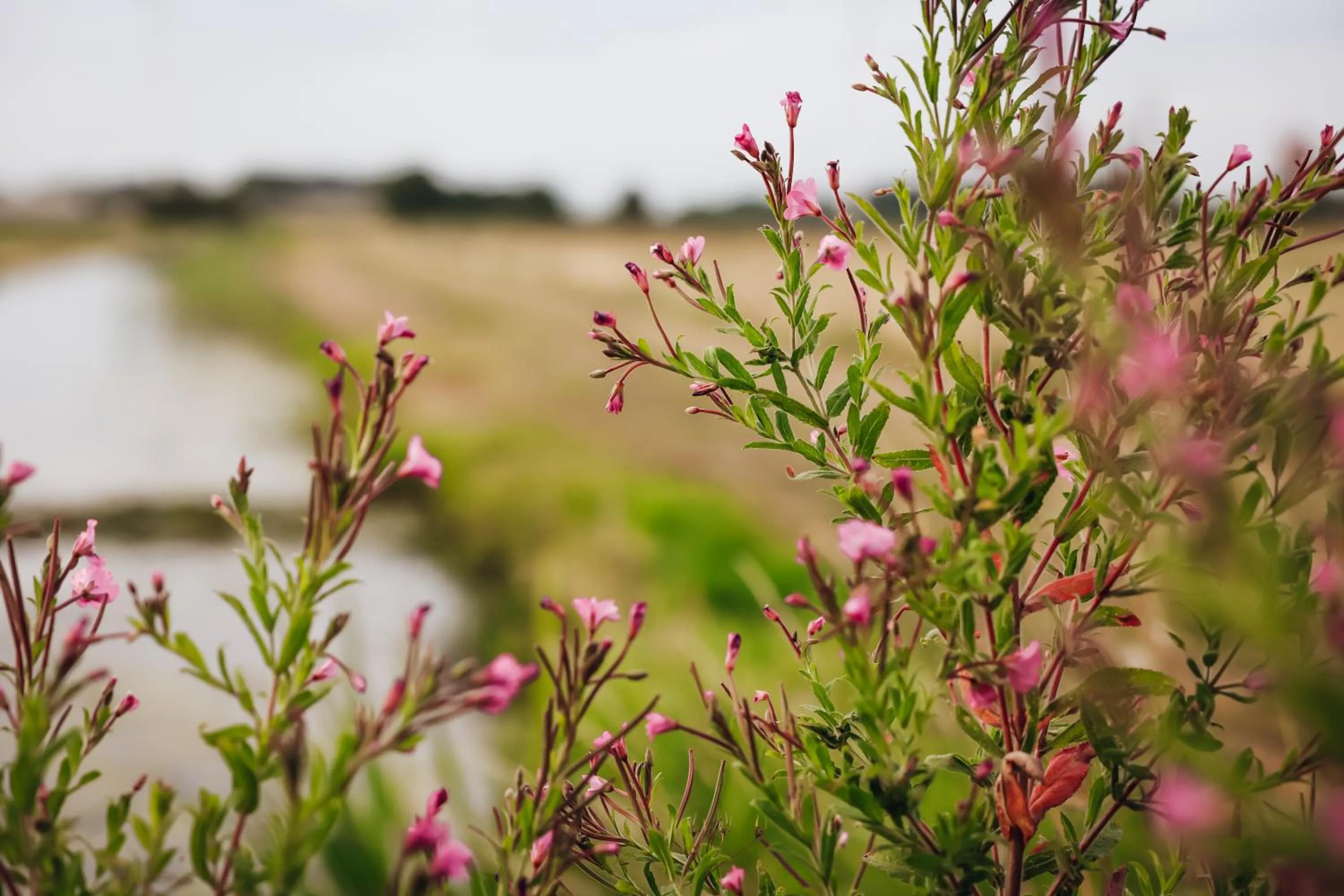 Area and facilities in Hajé Nieuwegein