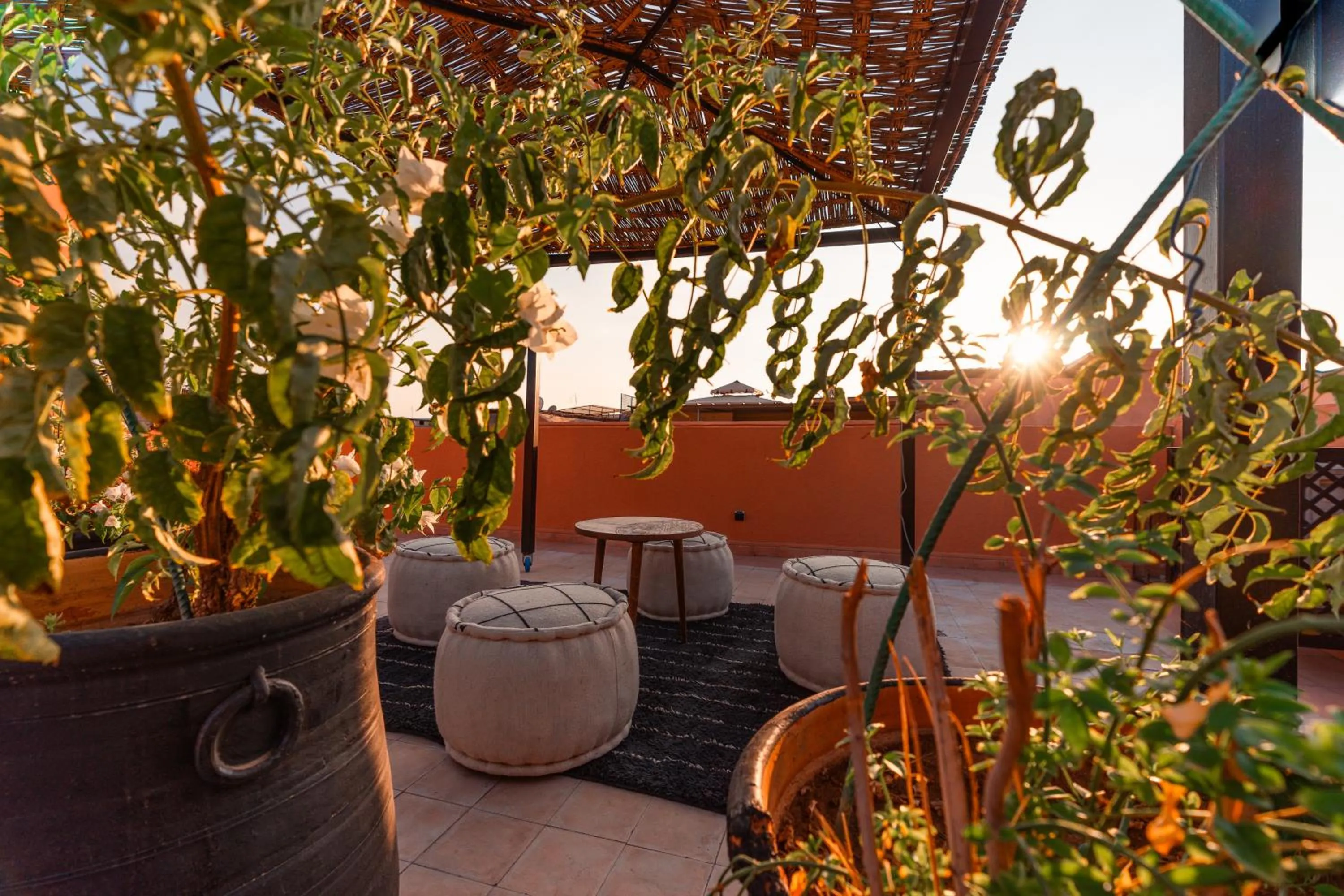 Balcony/Terrace in Riad L'ECOLE