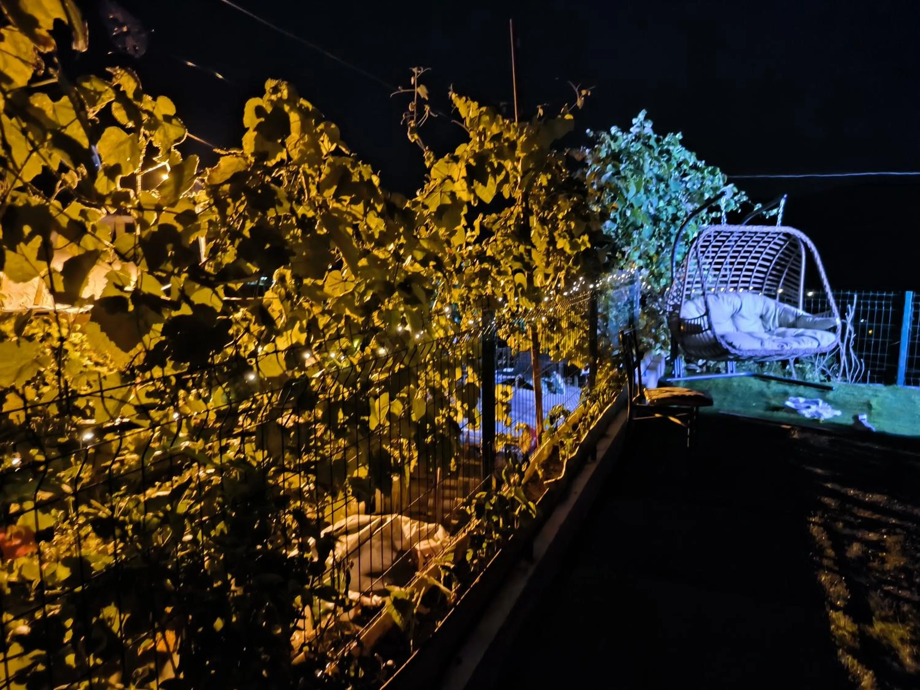 Night in Neyla Suit Bungalow