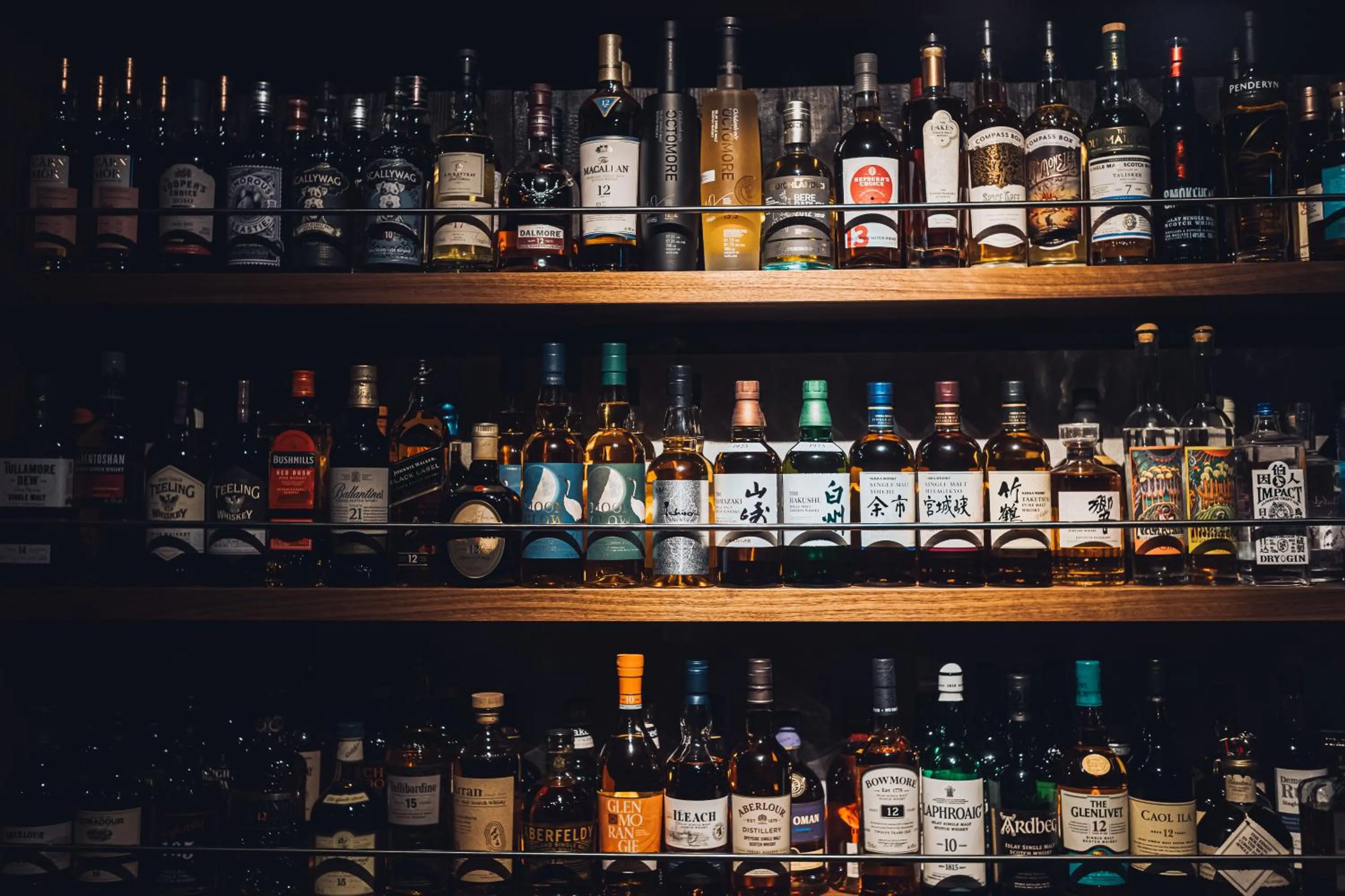 Lounge or bar in root hakone