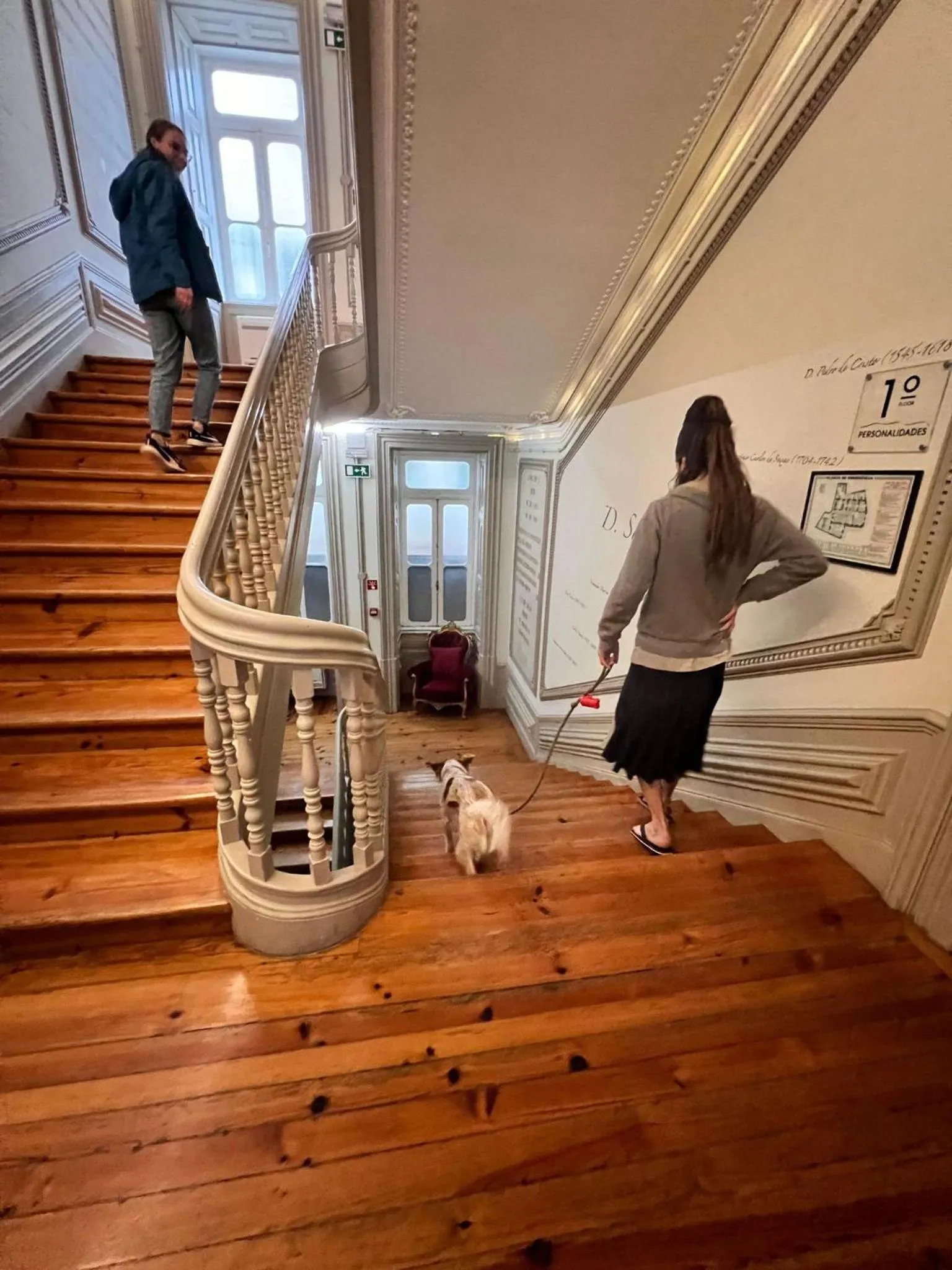 Pets in Serenata Hotel & Hostel Coimbra