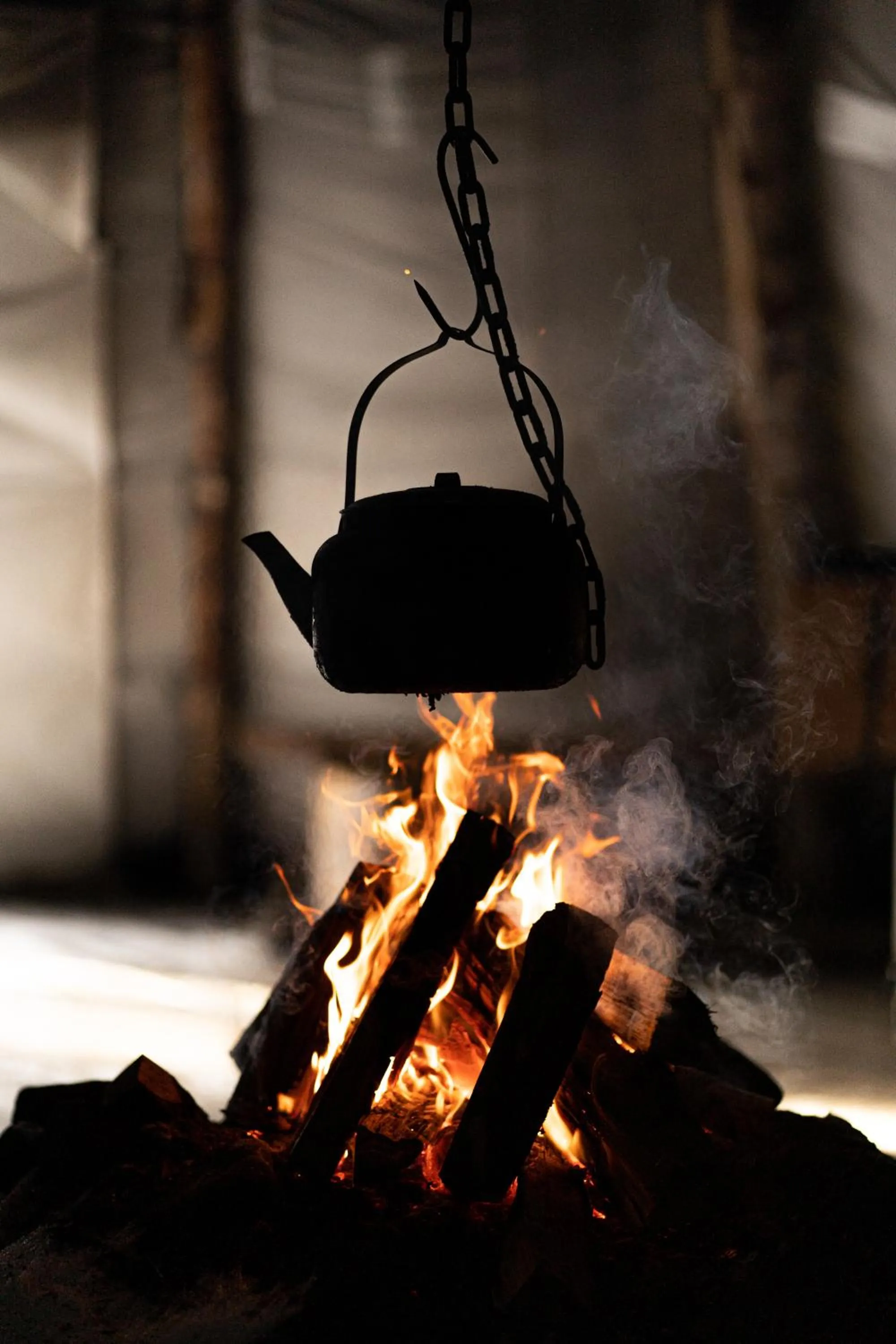 fireplace in Nova Galaxy Village