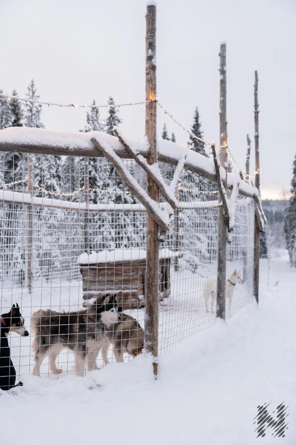 Activities in Nova Galaxy Village