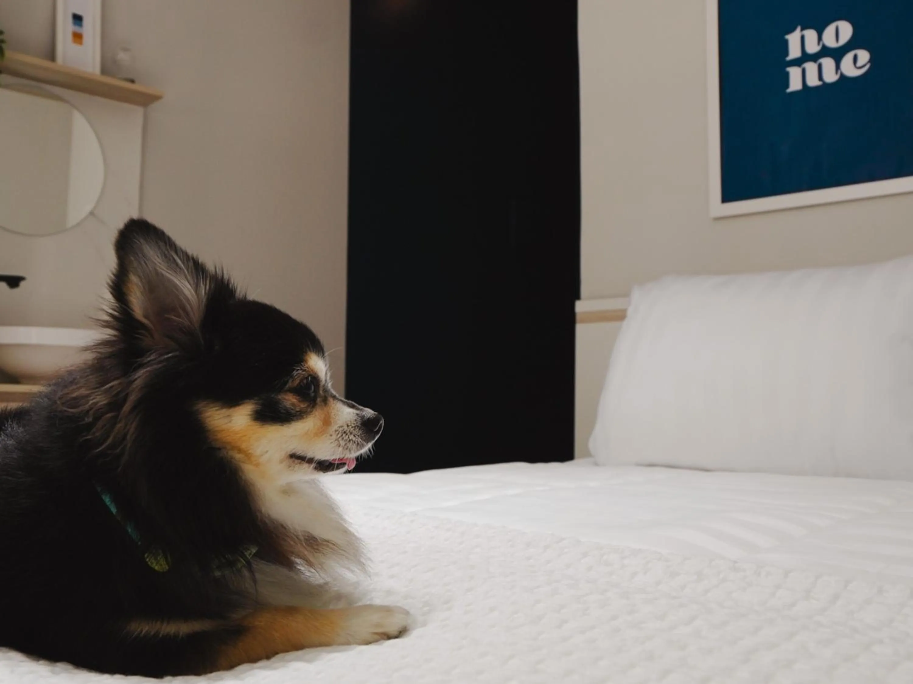 Bed in Apê Metrô Paraíso