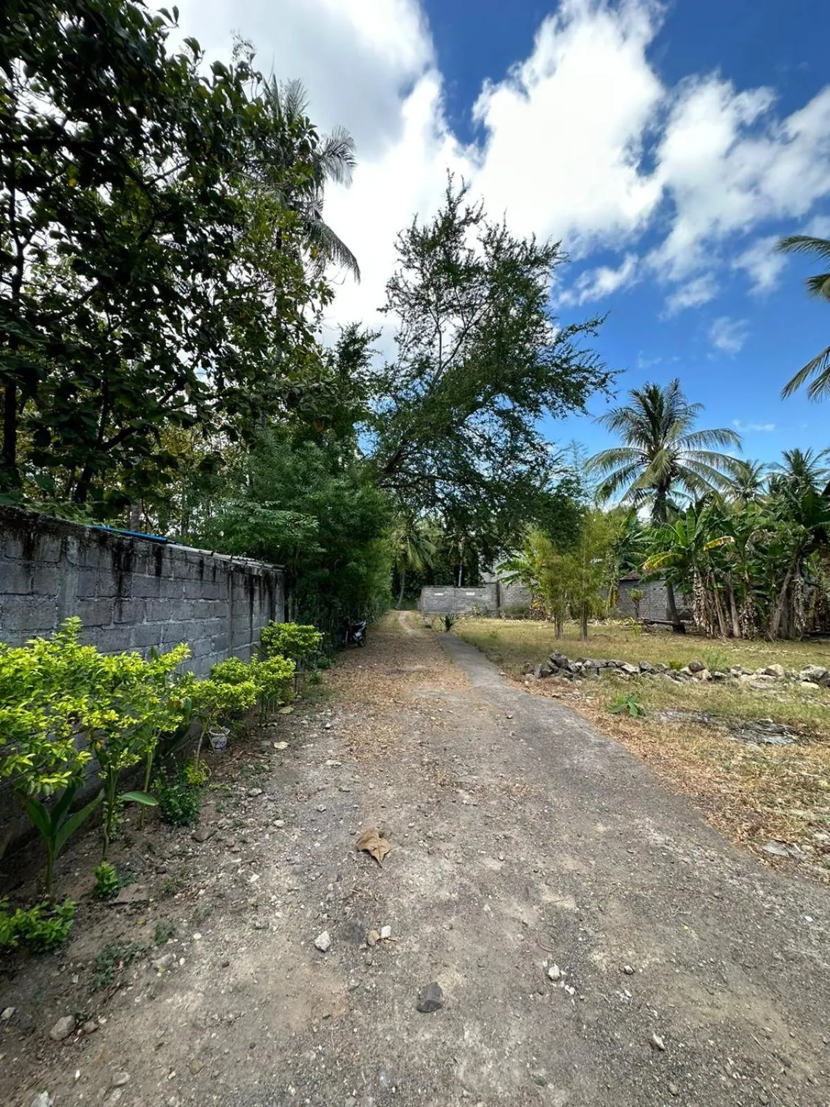 Property building in Exotic Backpackers