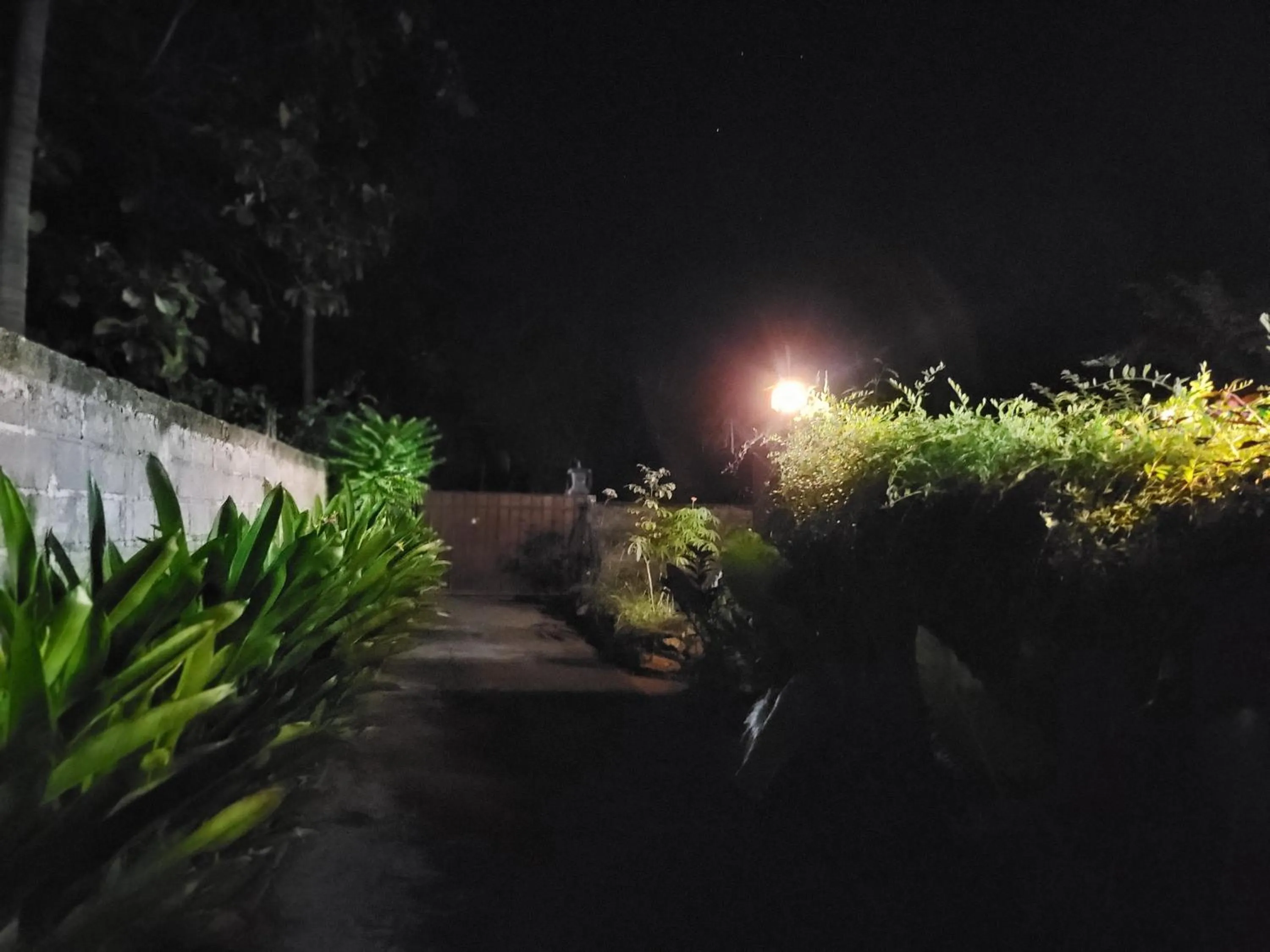 Night in Exotic Backpackers