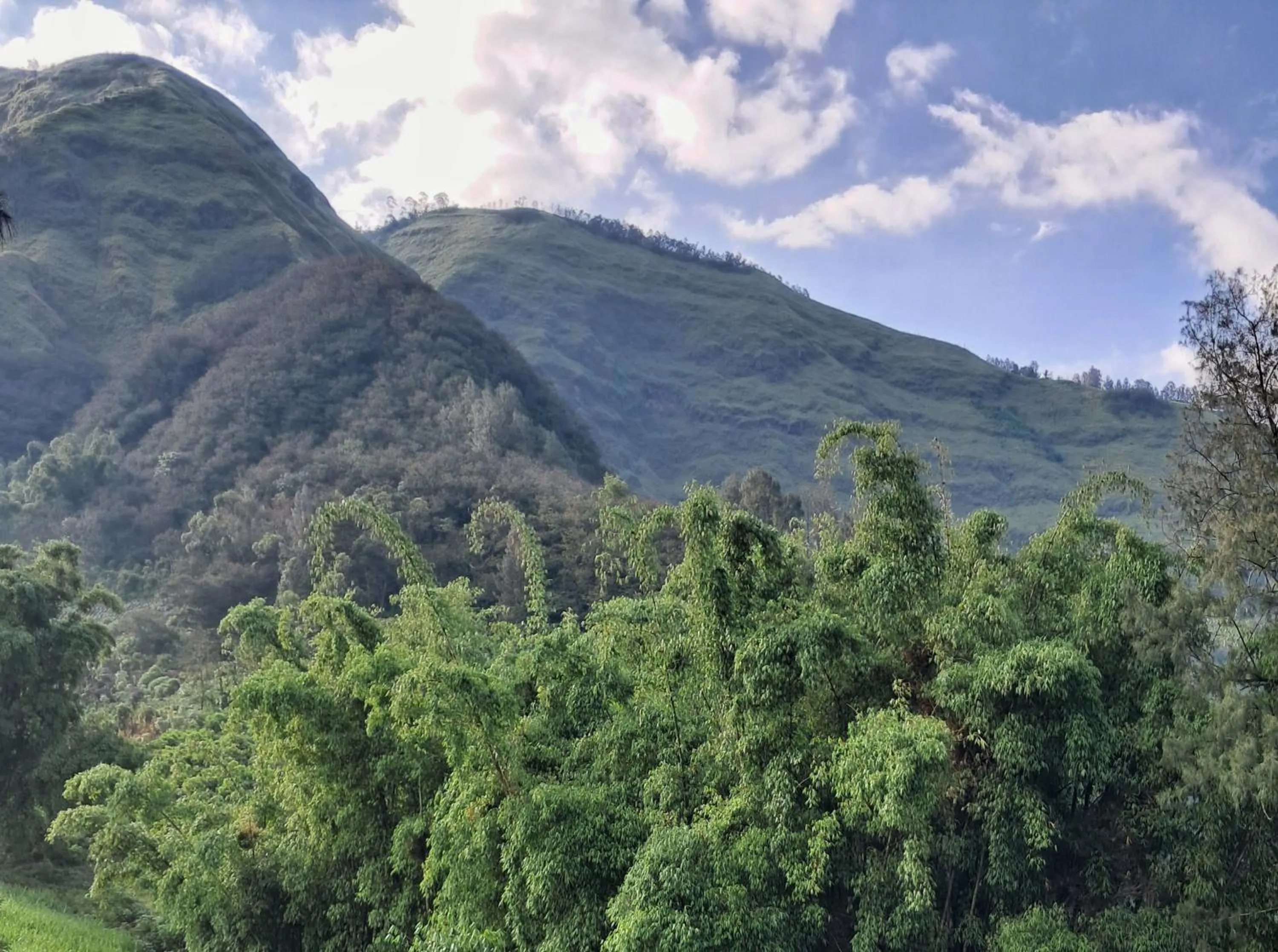 Natural landscape in Bromo Dormitory