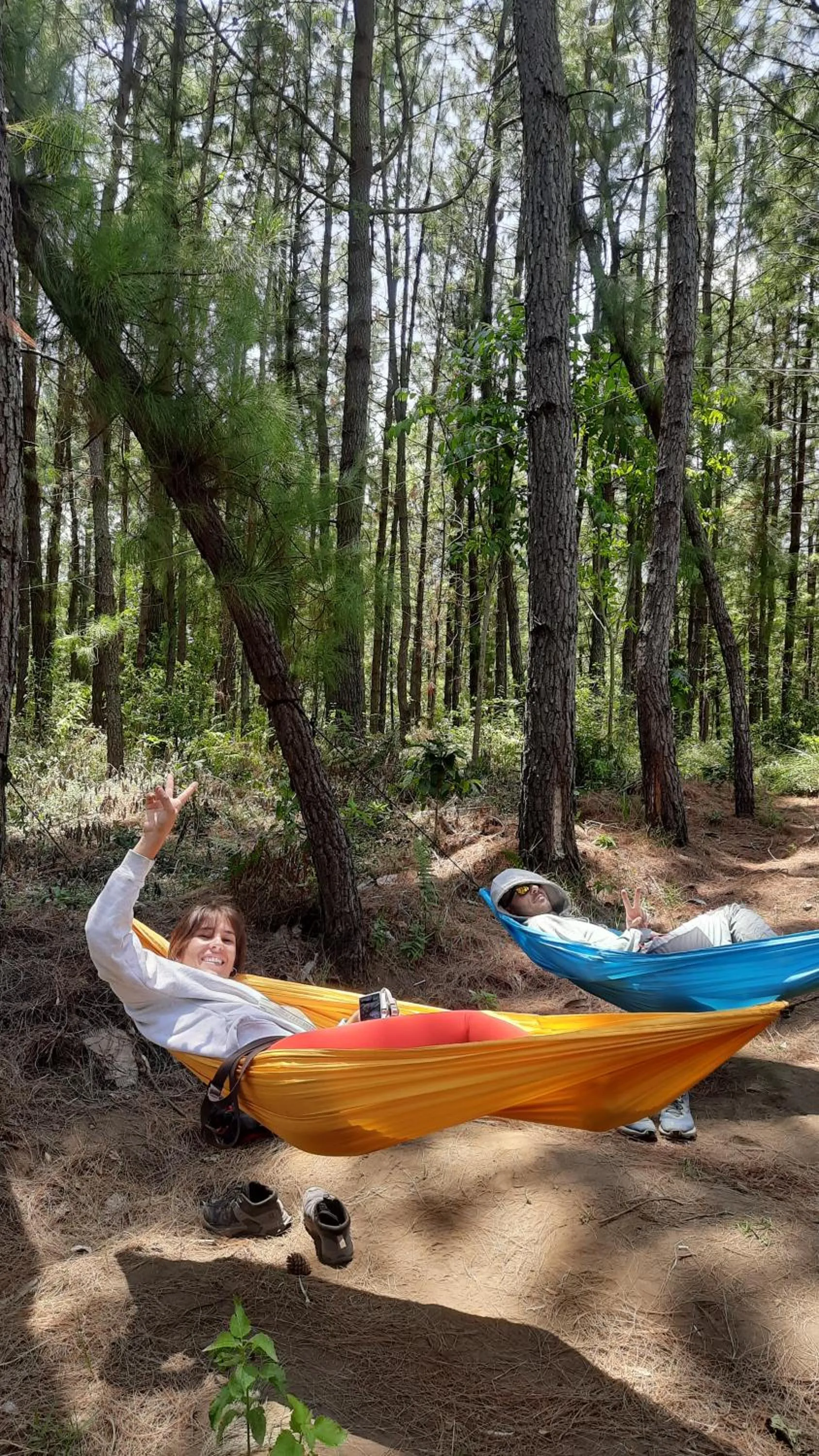 Natural landscape in Bromo Dormitory