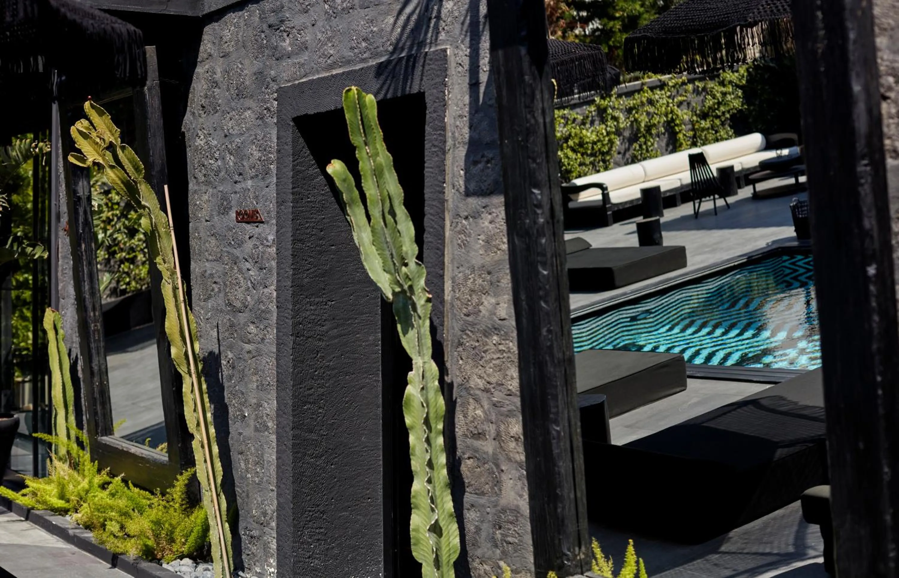 Garden view in The Local House Alaçatı