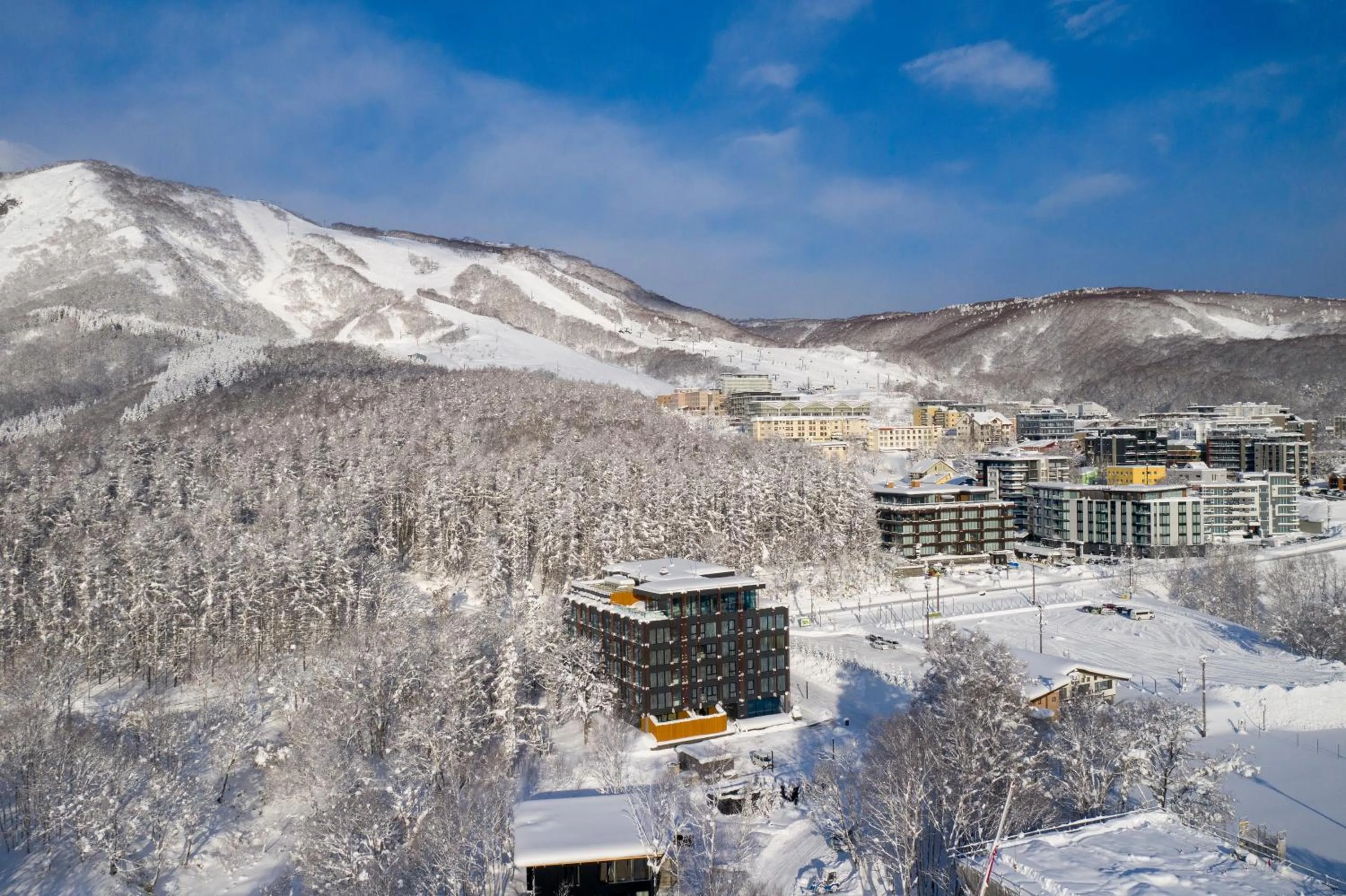 Bird's eye view in Intuition