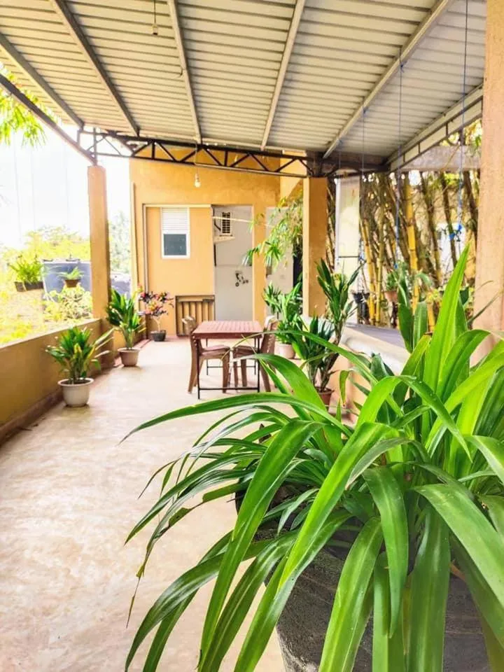 Balcony/Terrace in Ranketha Resort & Restaurant