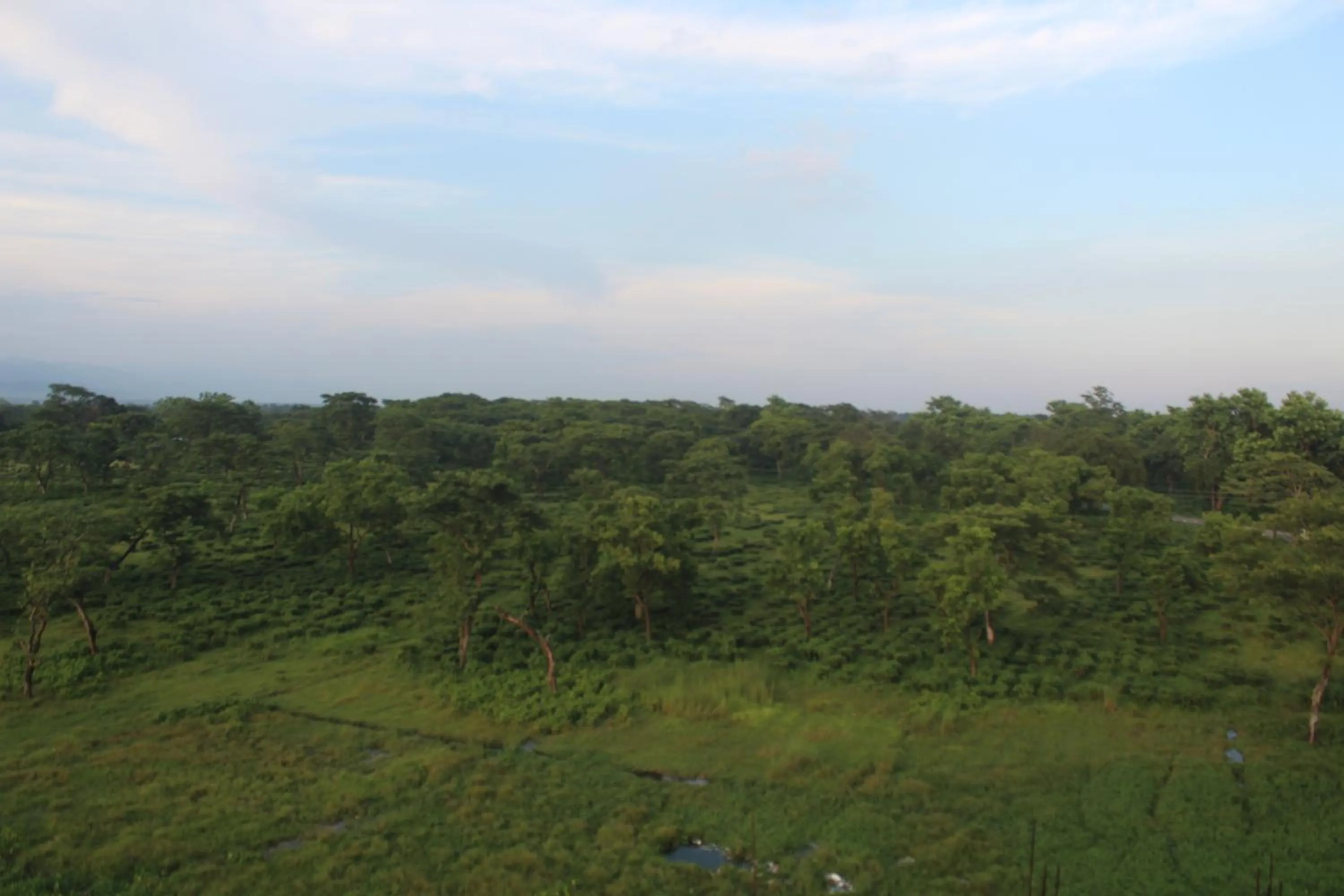 Garden view in Hotel Giggle Coast Restro and Lodge