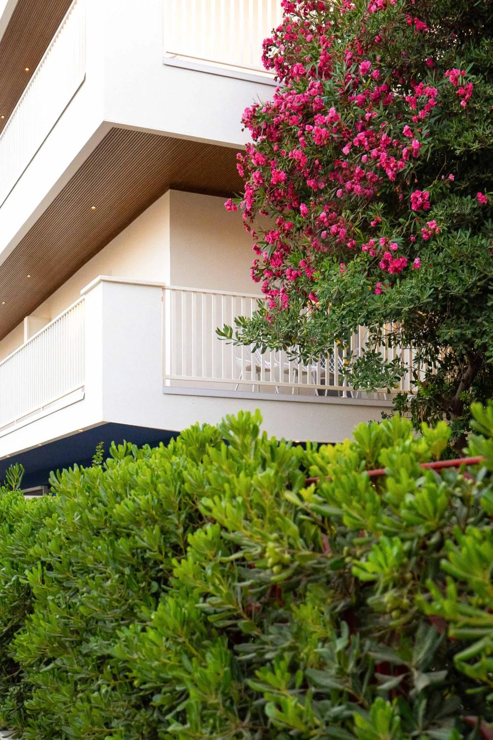 Property building in Hotel Mhami