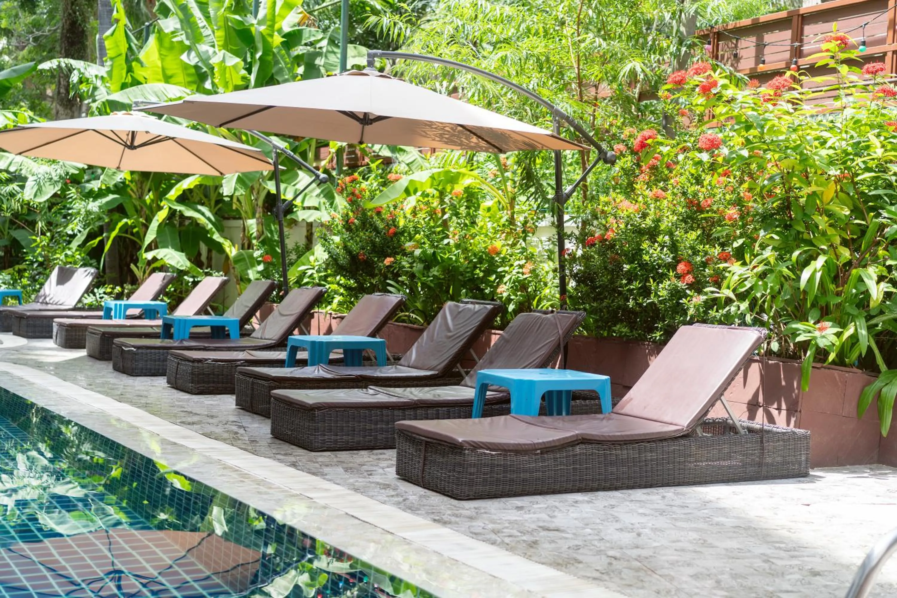 Garden in Patong Central Residence & Apartment