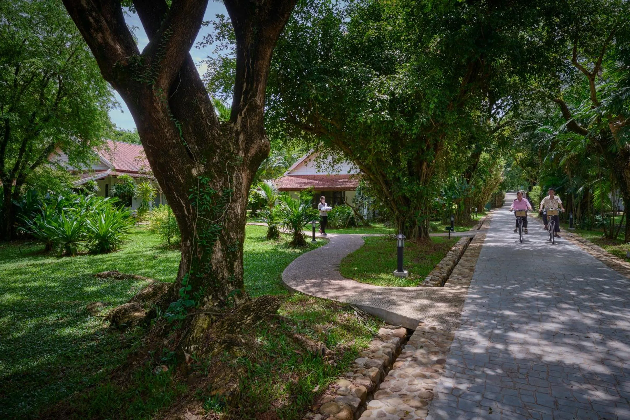 Garden in Samanea Beach Resort & Spa