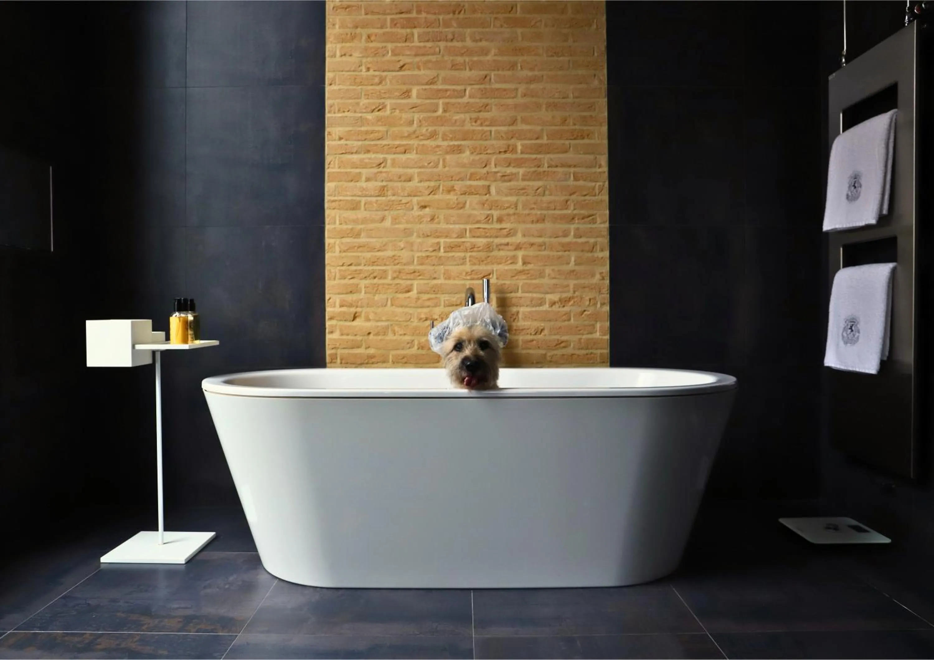 Pets in Sofitel Legend The Grand Amsterdam