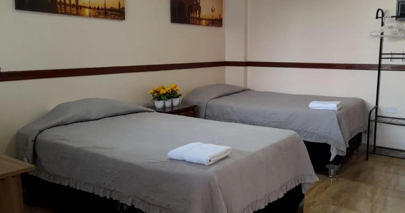 Bed in Hotel San Isidro