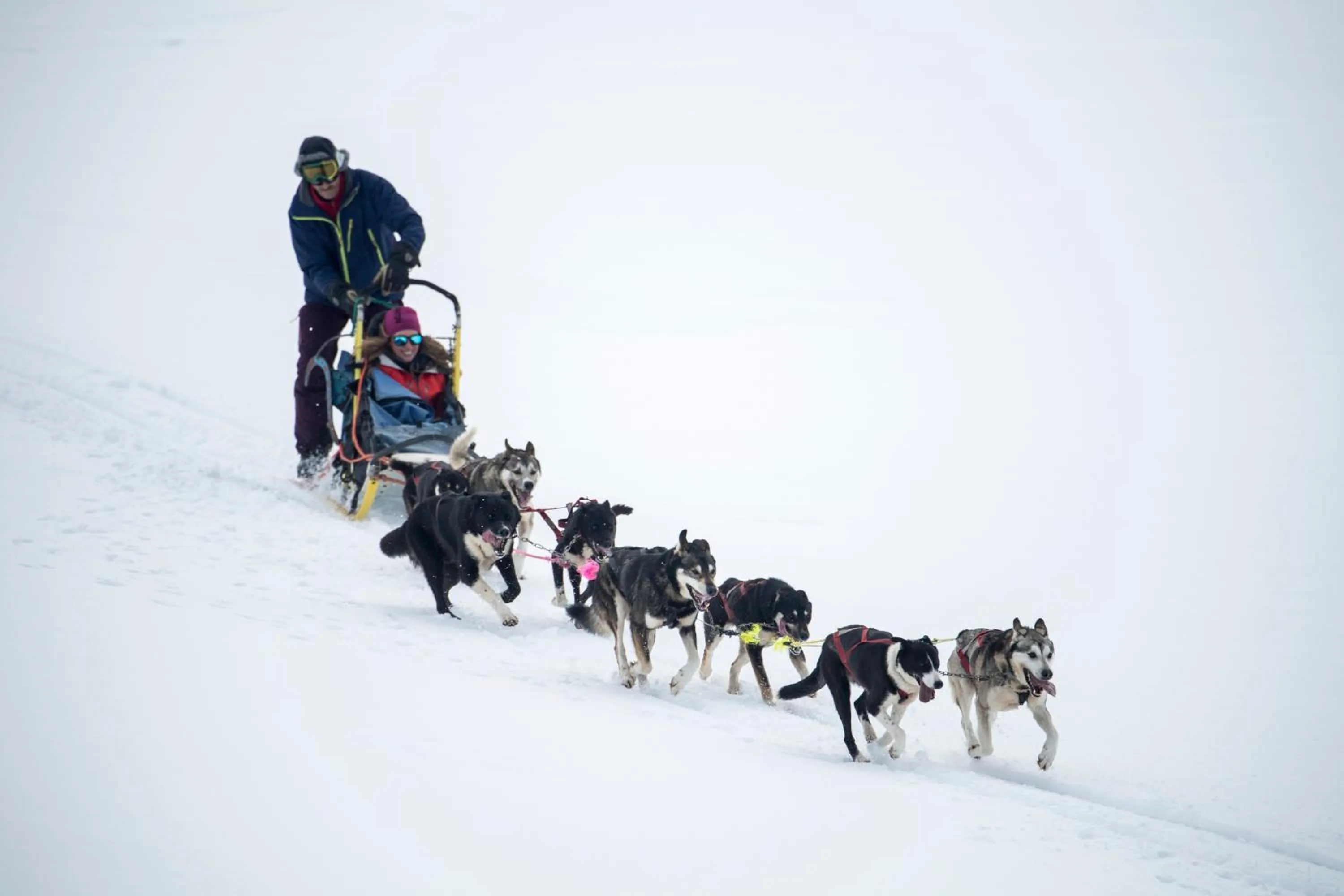 Activities in Smuksjøseter Fjellstue