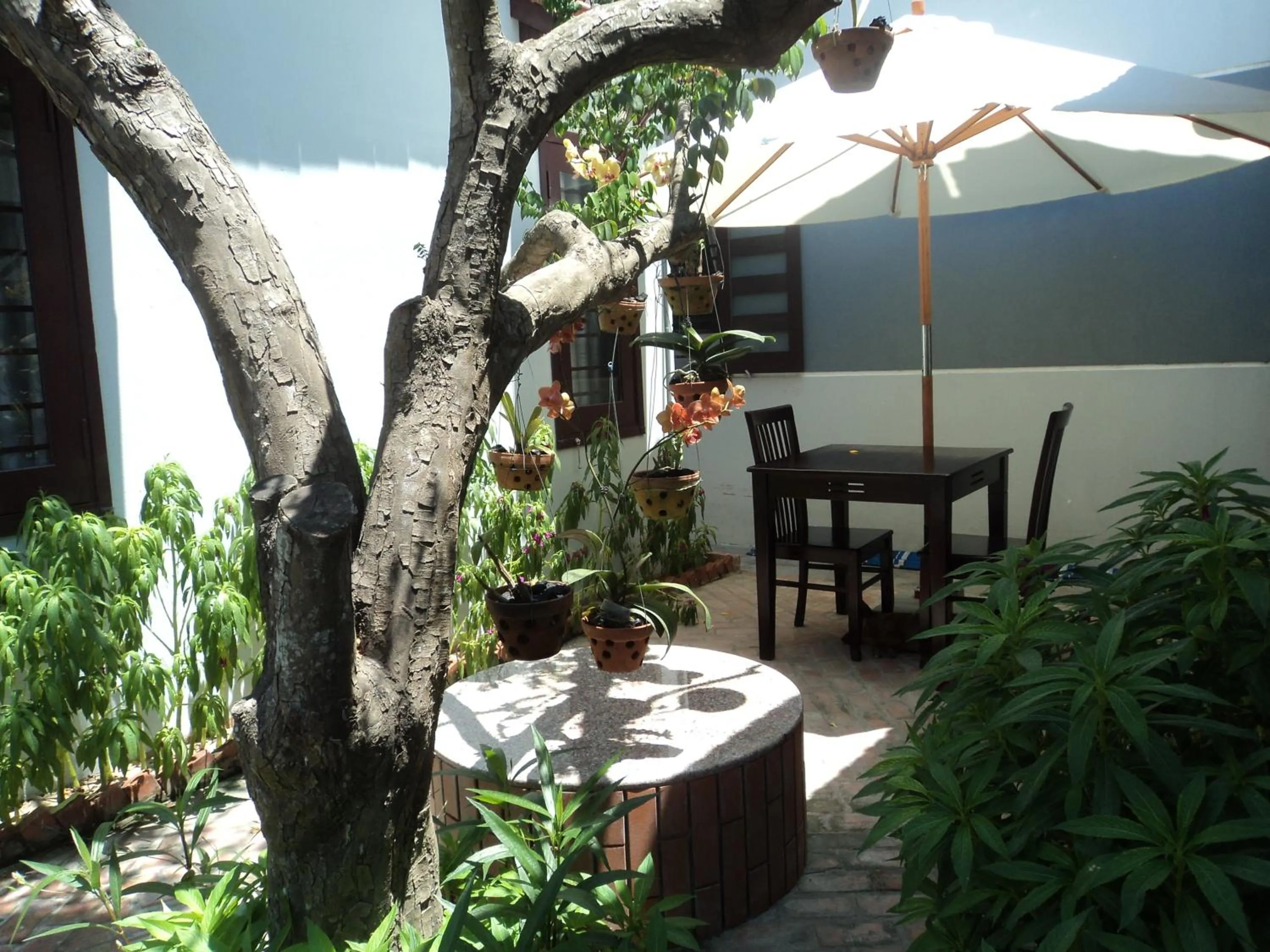 Garden in Tue Tam Garden Villa